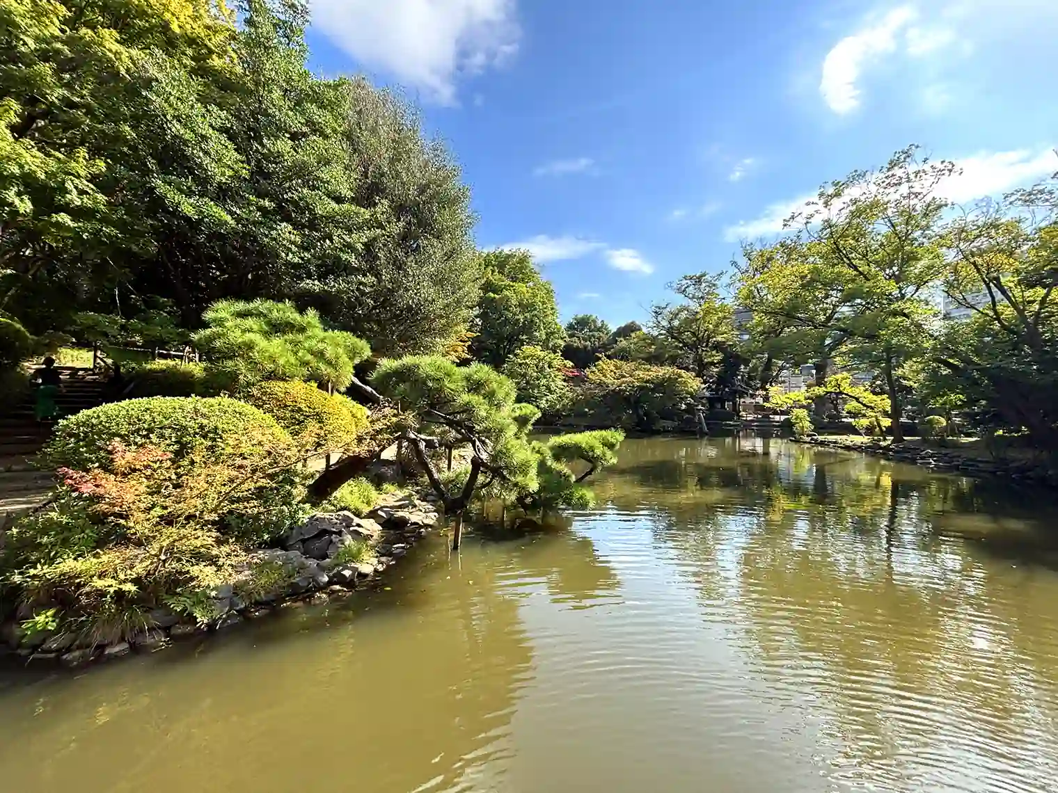 池と松