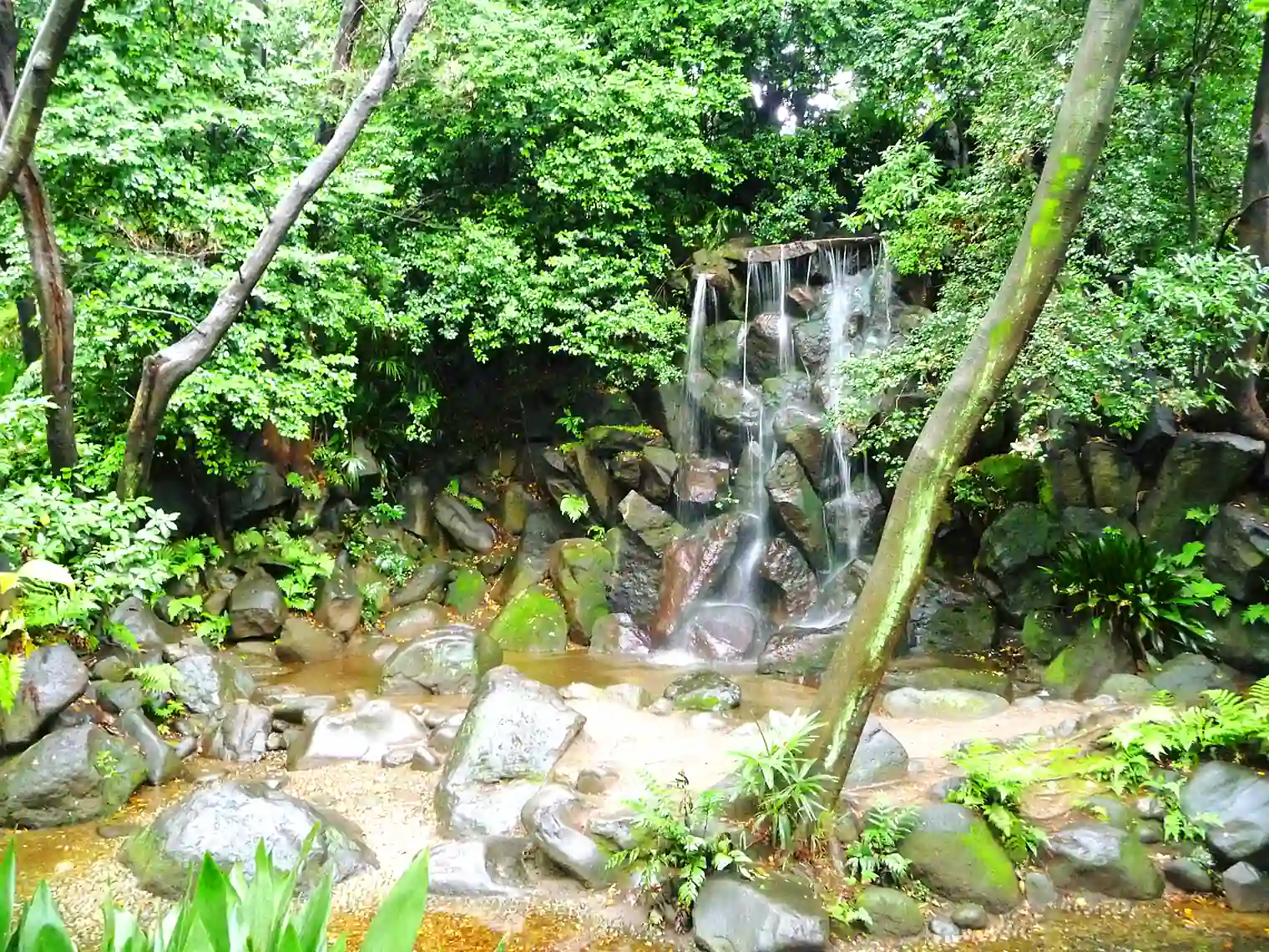男滝