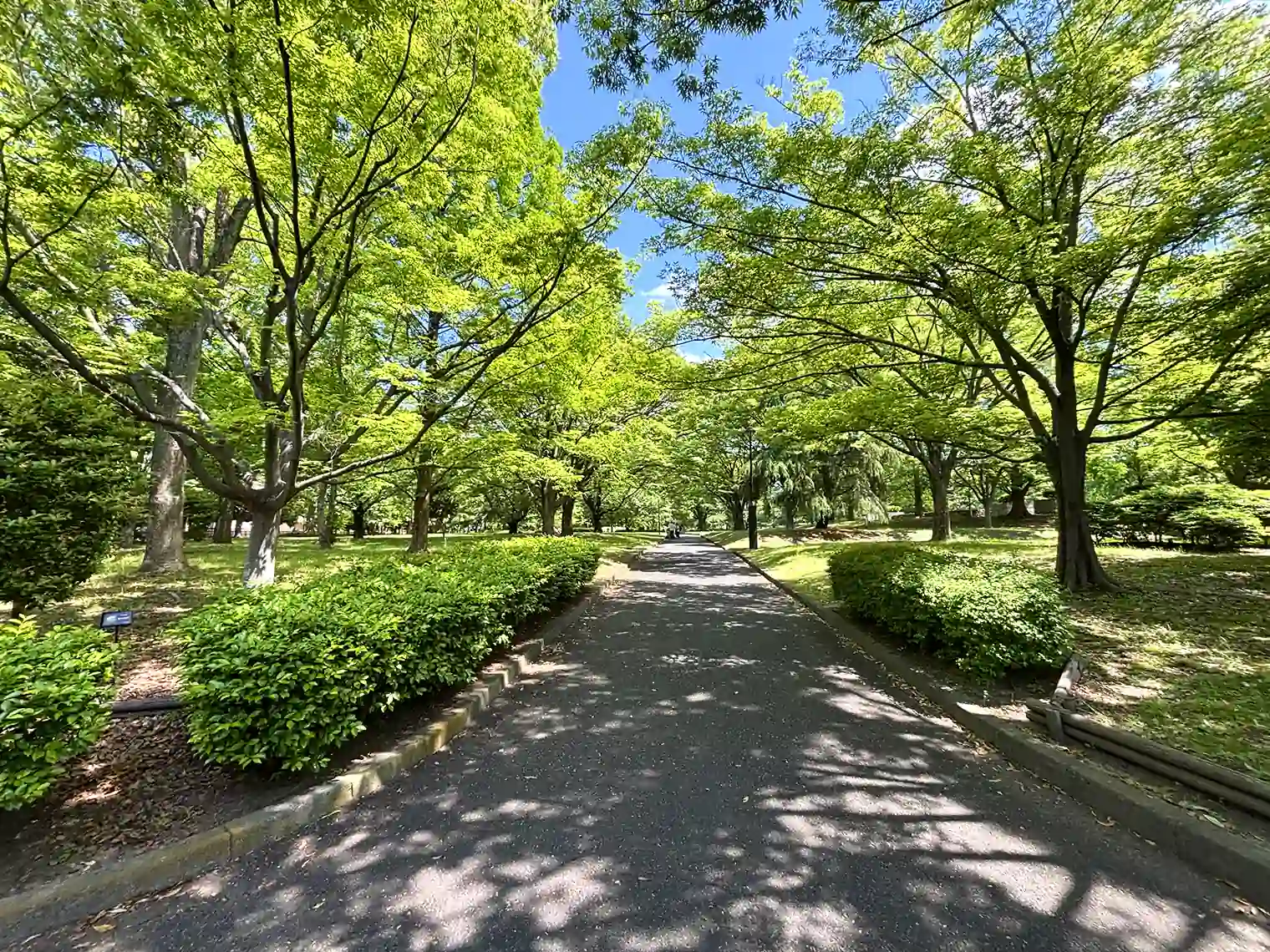 遊歩道（B地区）