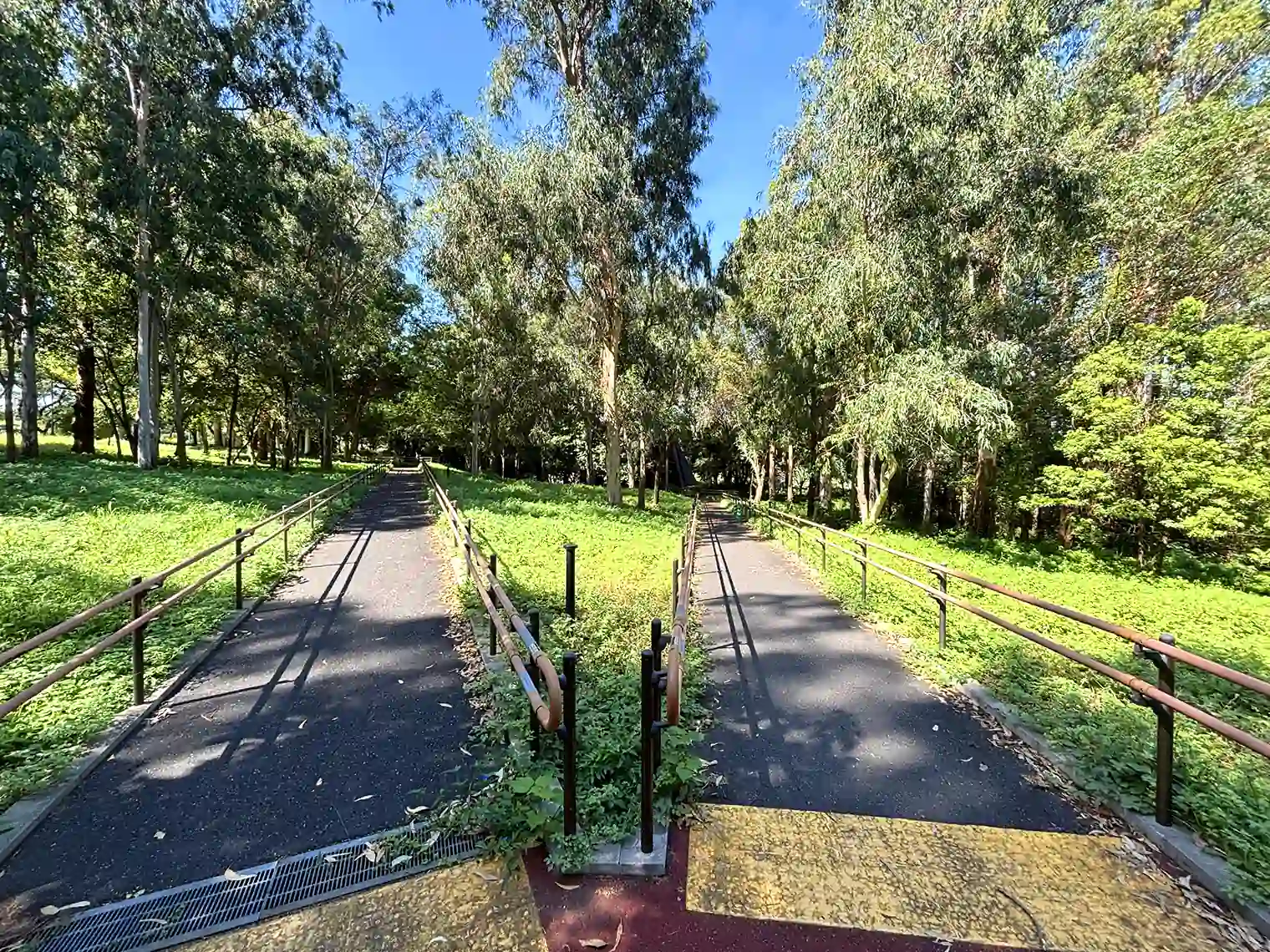 第五福竜丸展示館へ向かう遊歩道