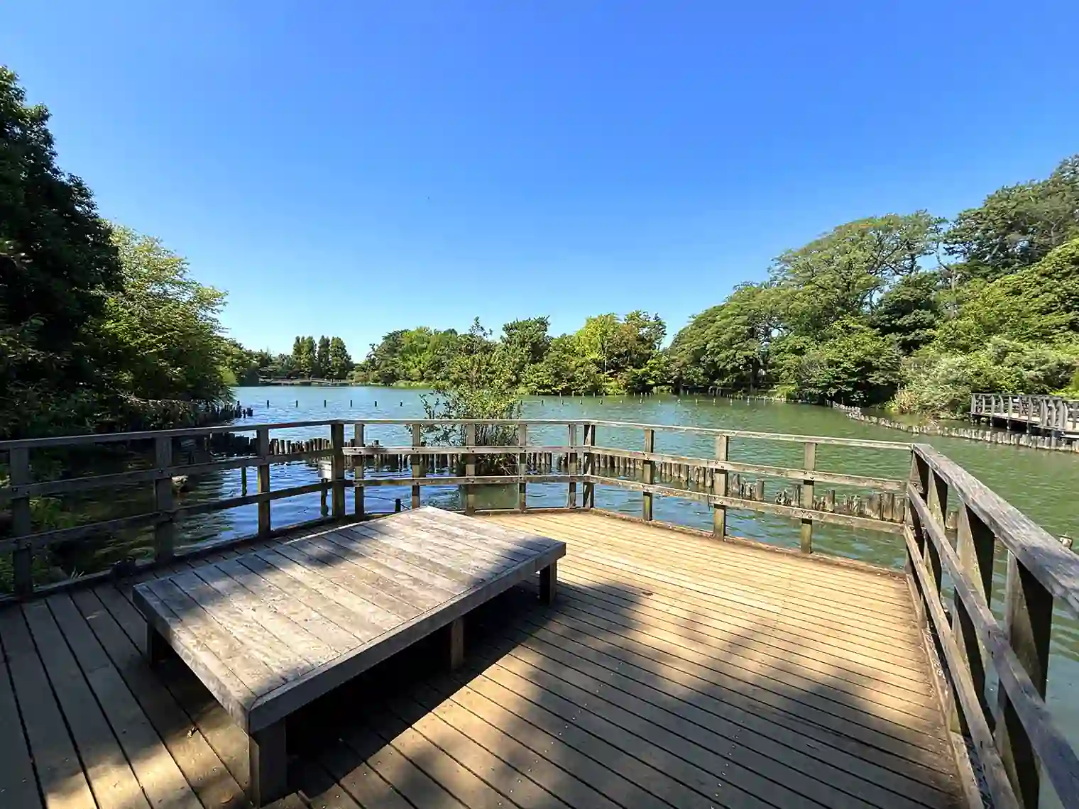 水生植物園の展望場