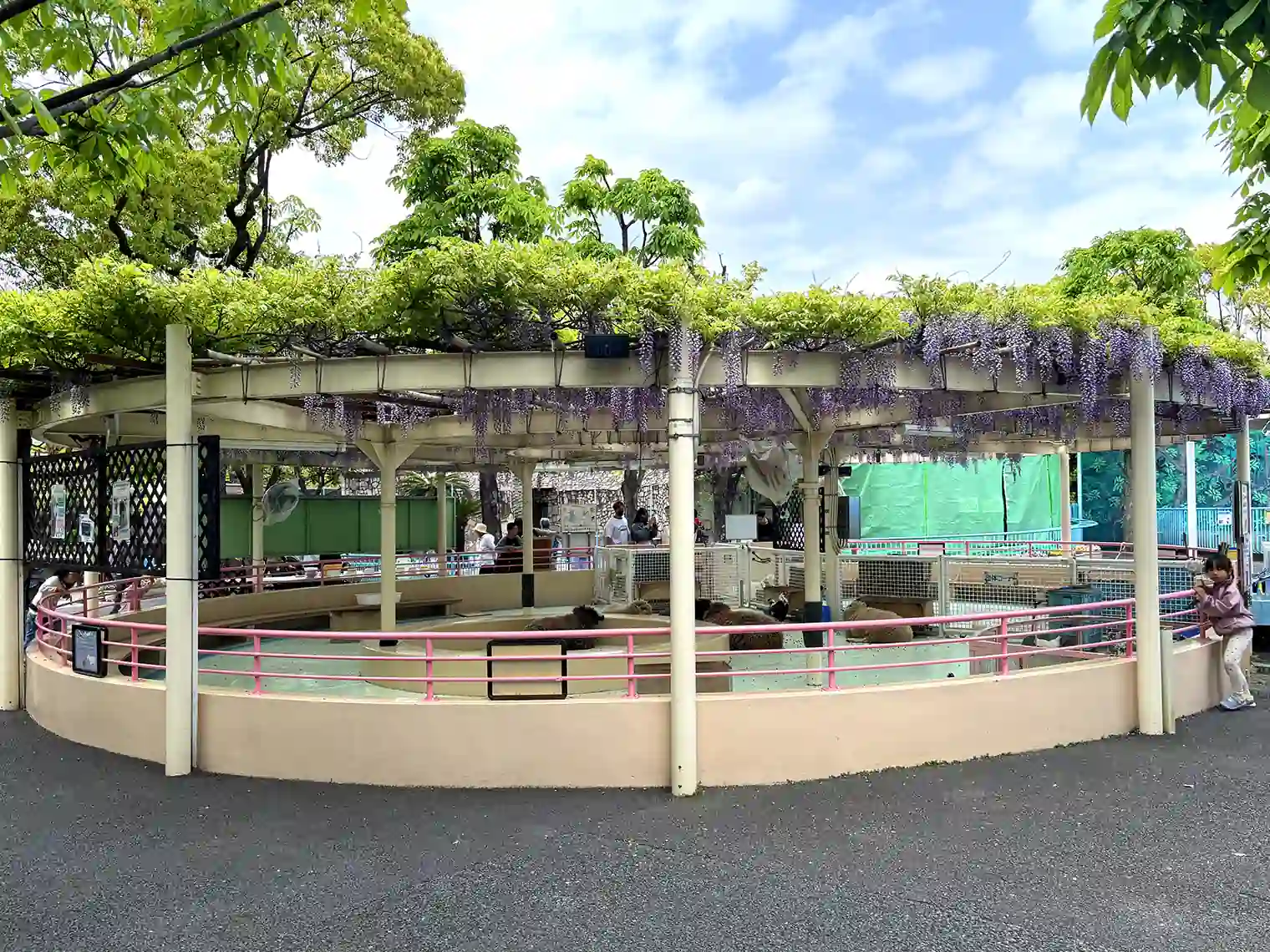 ふれあいコーナー