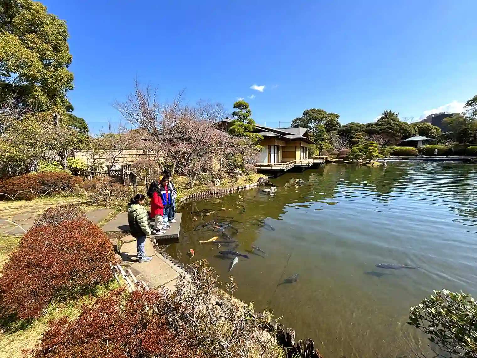 主池（江戸川平成庭園）