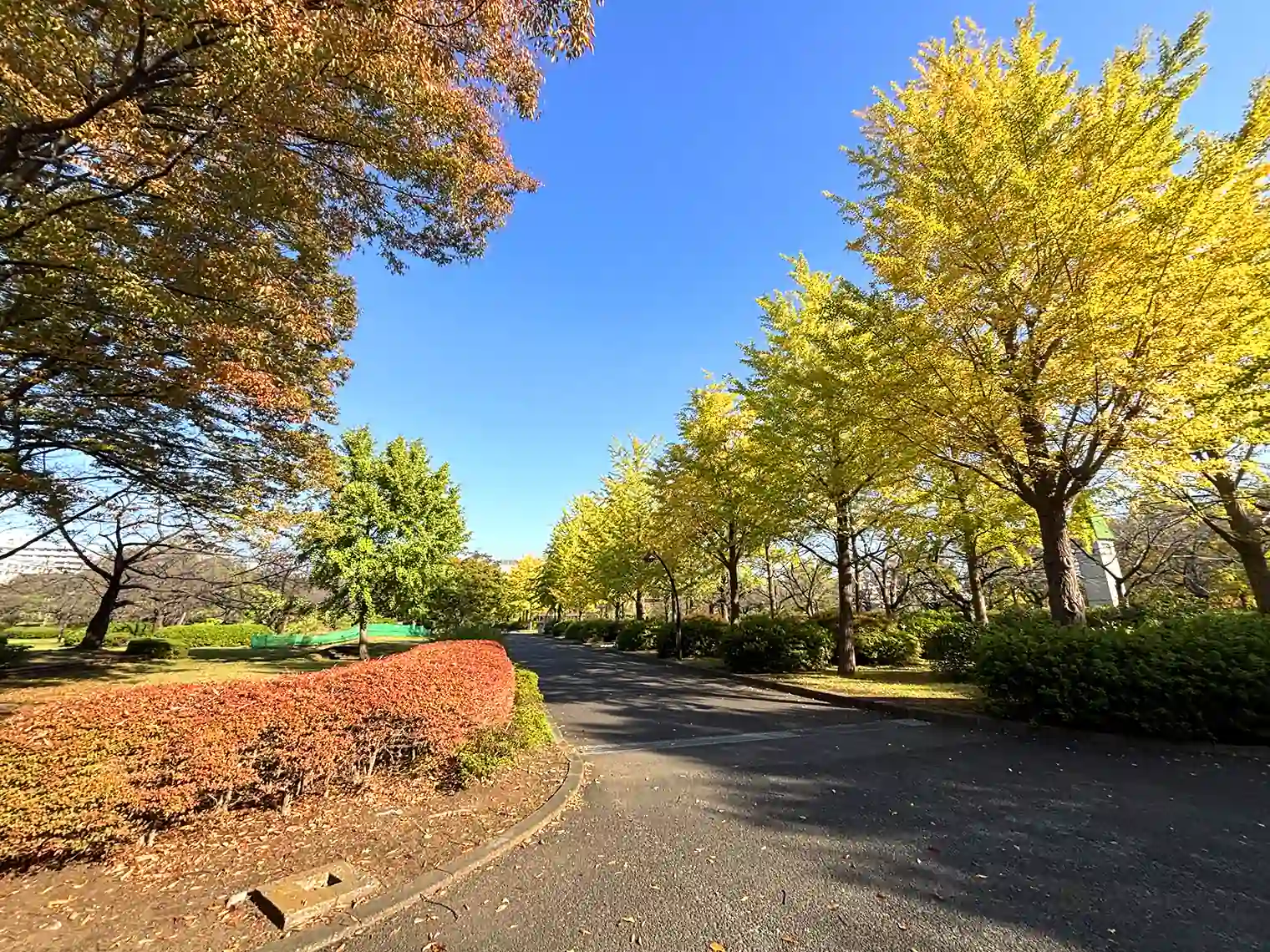遊歩道