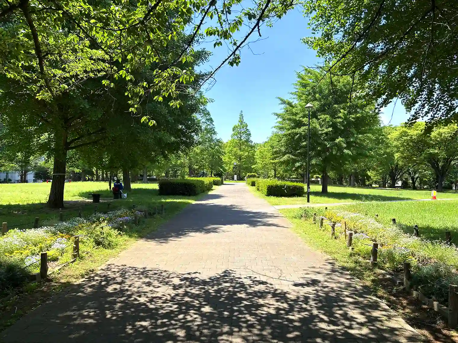 遊歩道（B地区）