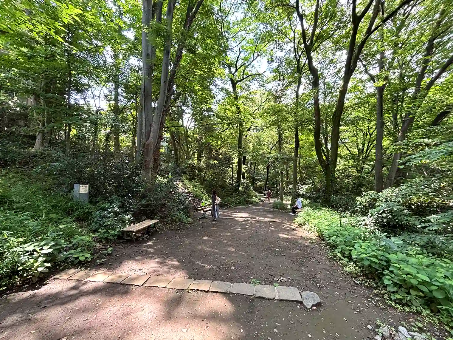 広場
