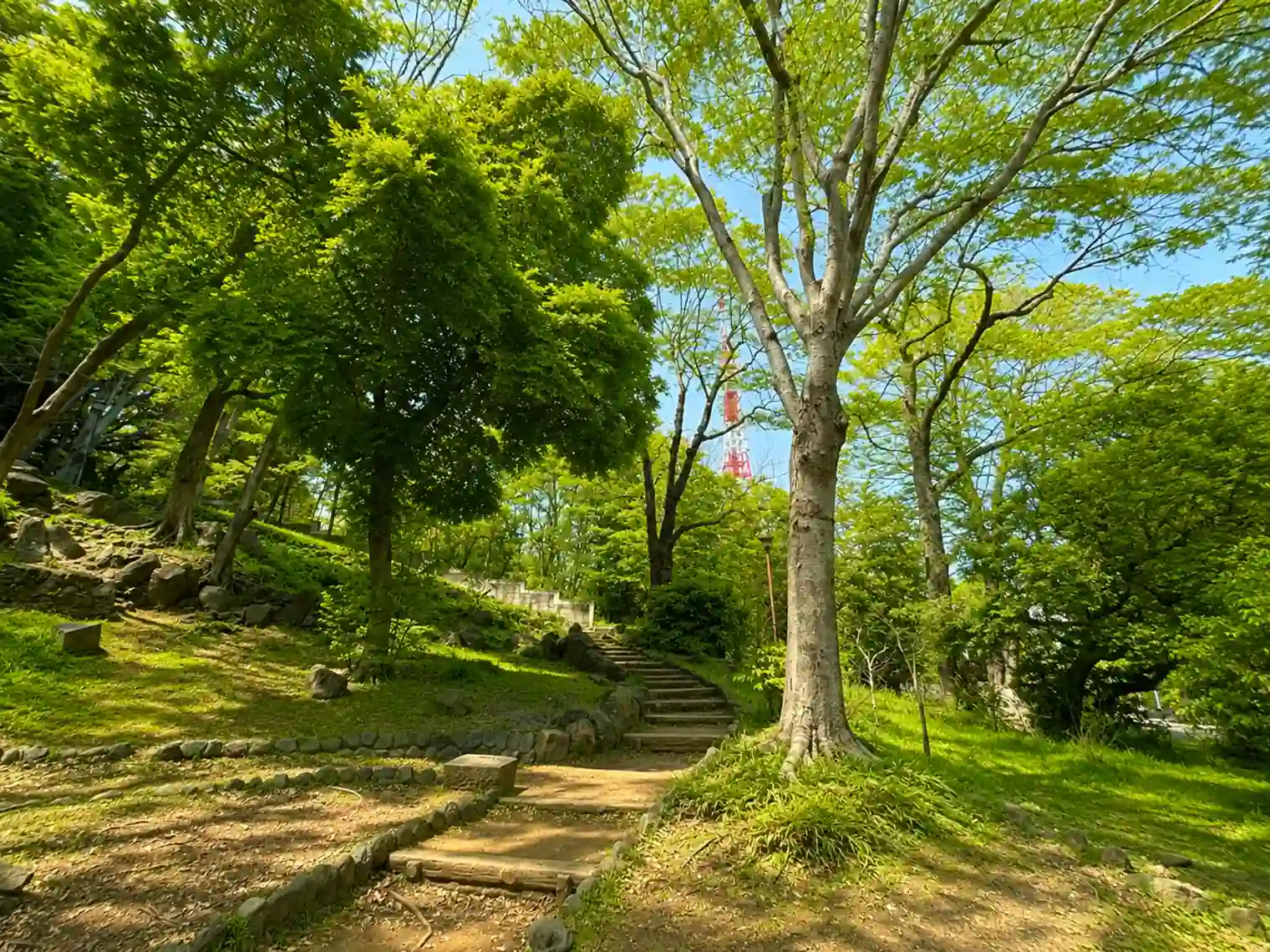 芝丸山古墳へ上る階段（1号地）