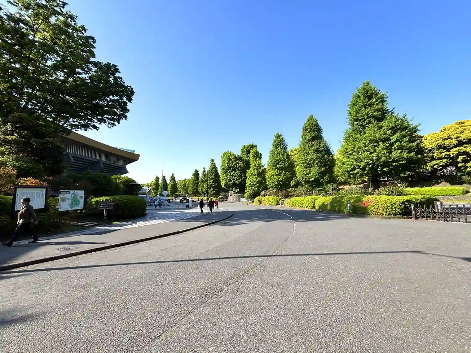 メイン道路と日本武道館