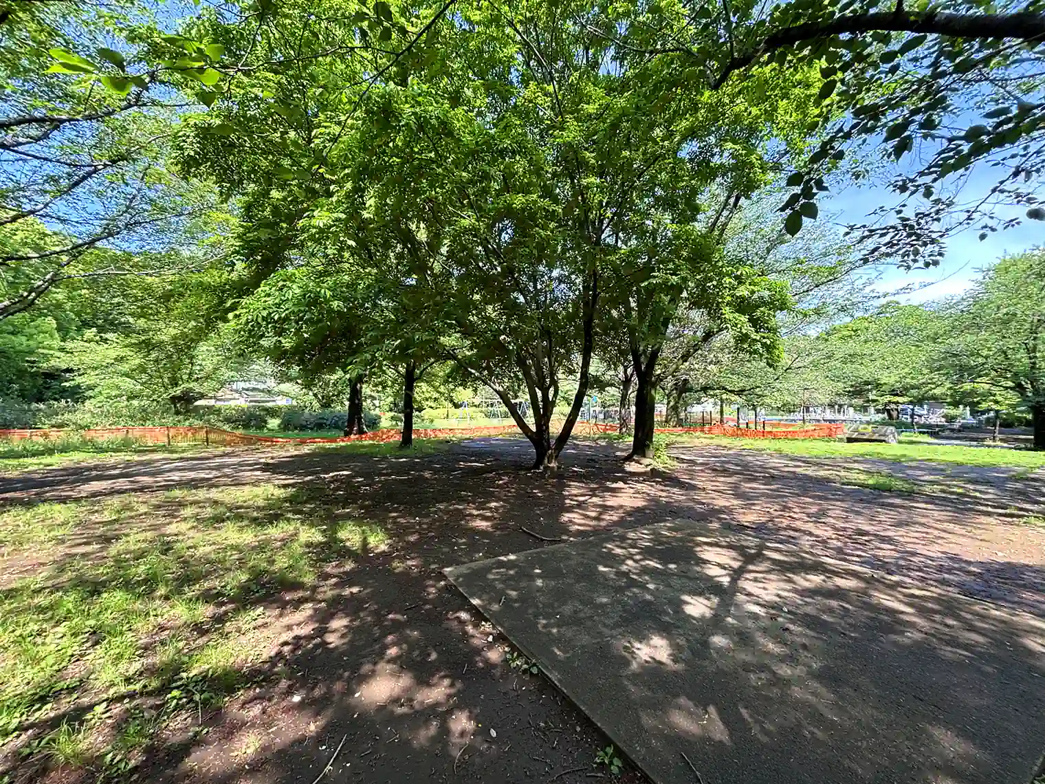 バーベキュー広場