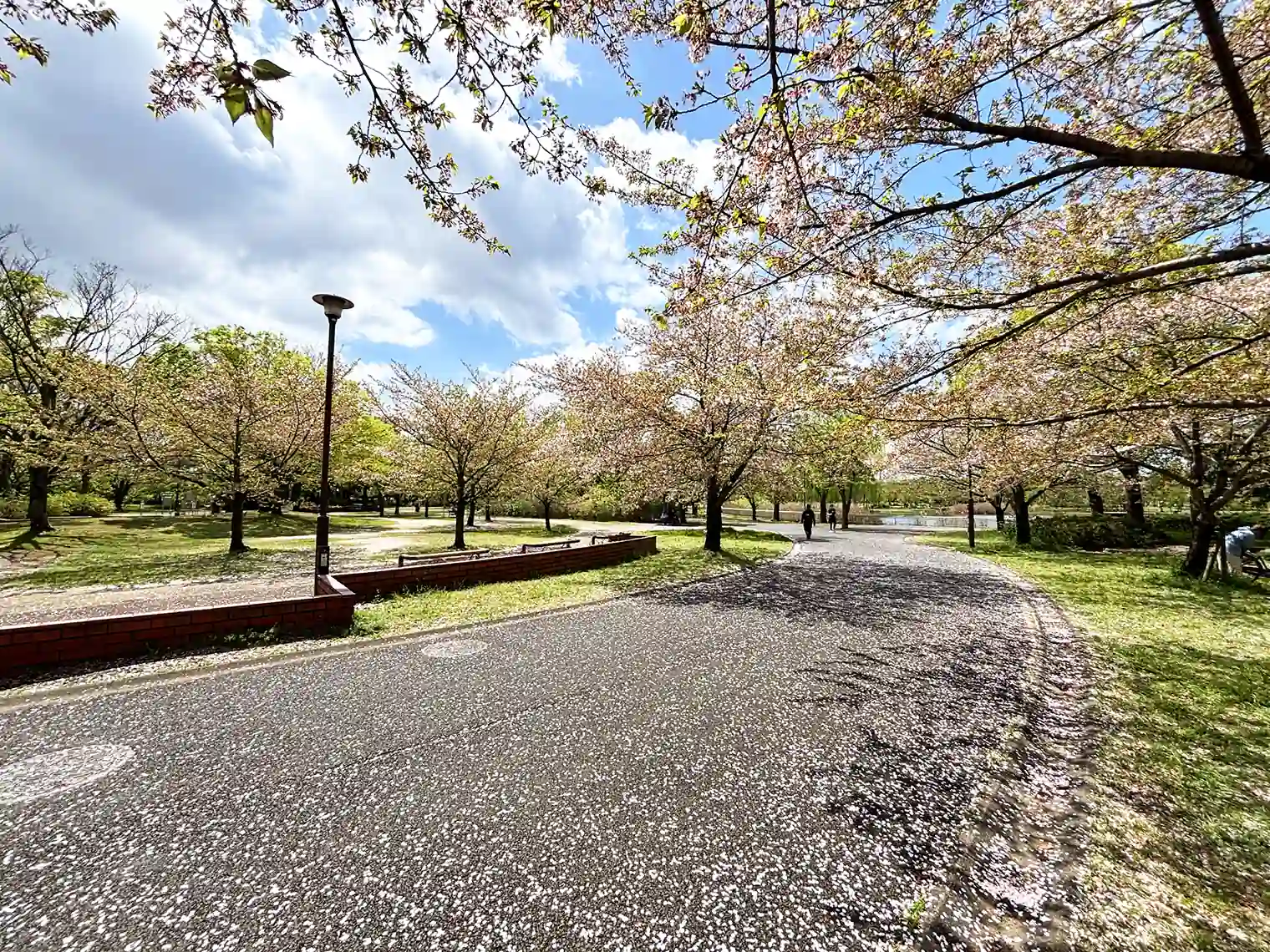 遊歩道（B地区）