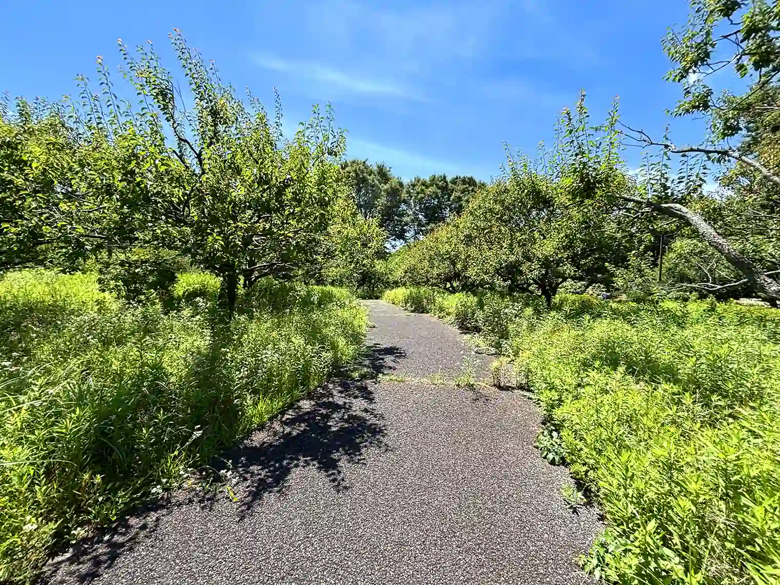 花木園