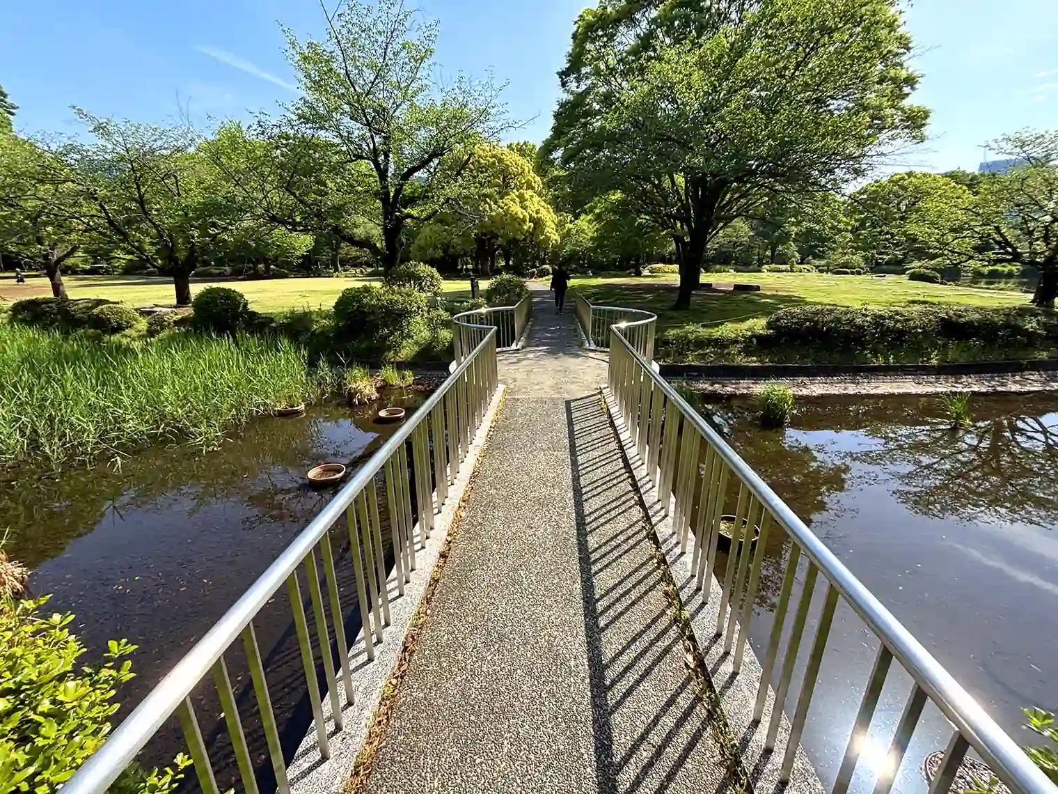 池に架かる橋
