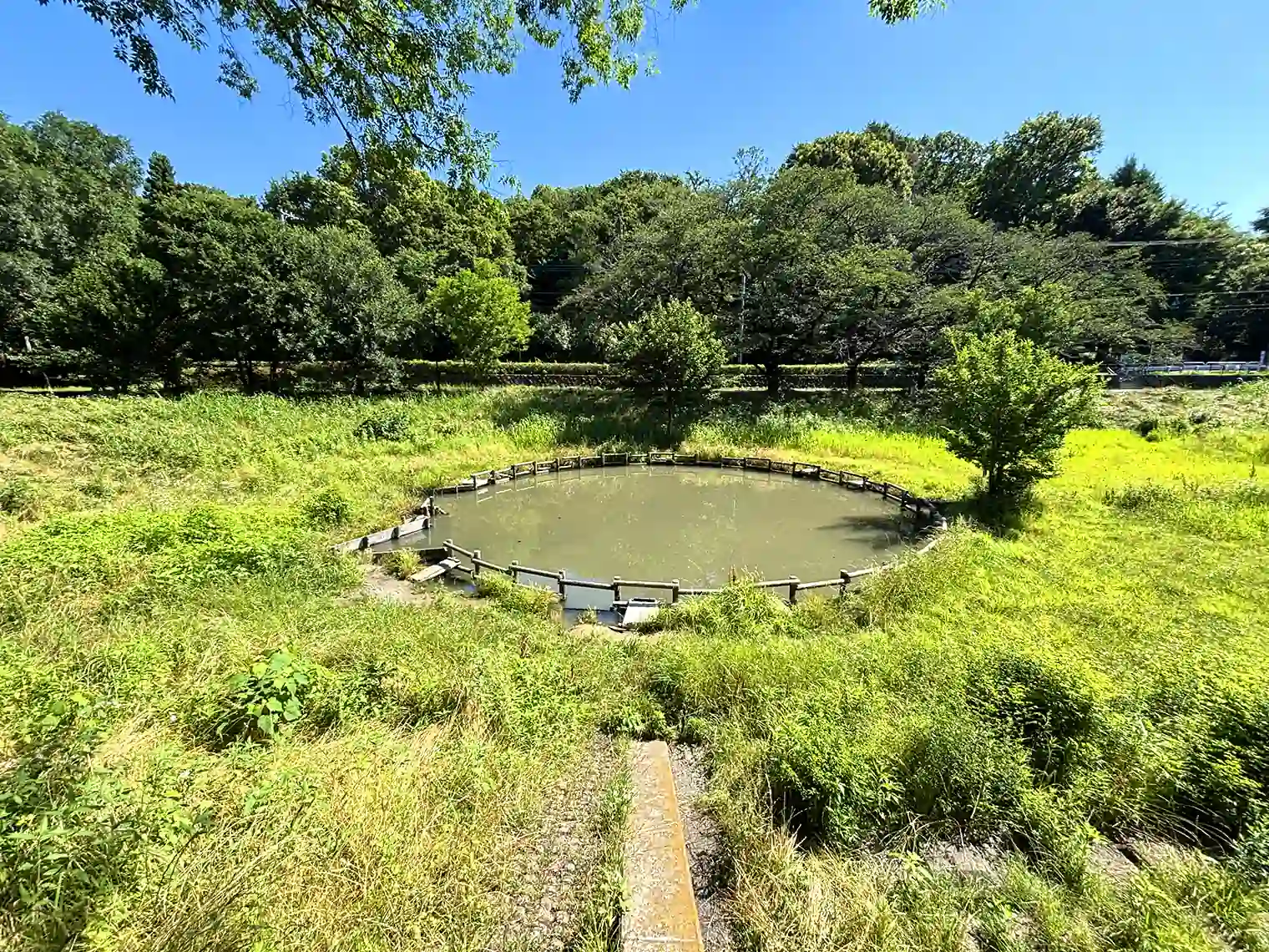 ため池