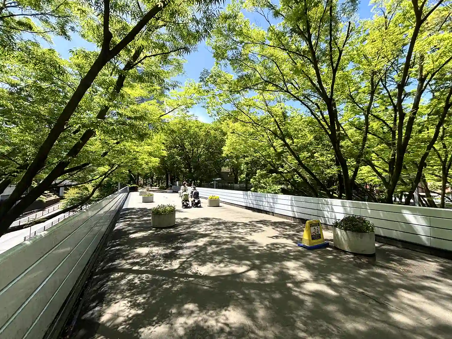 公園大橋