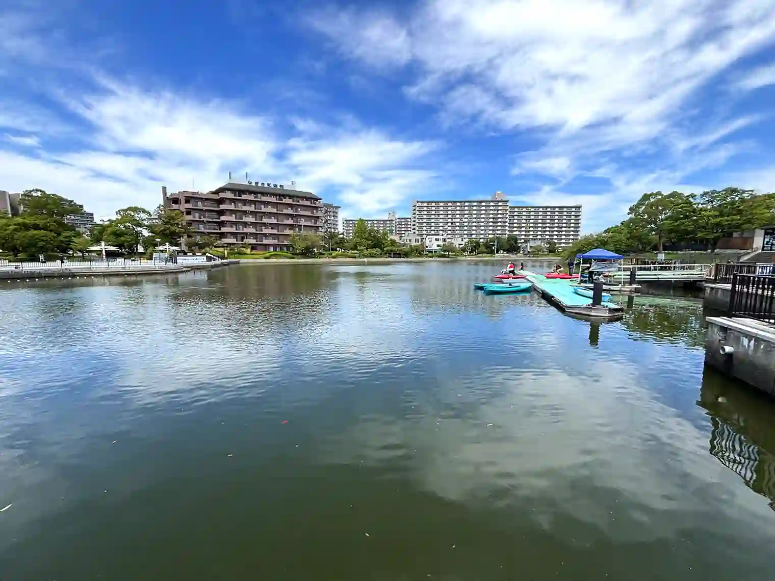 新左近川