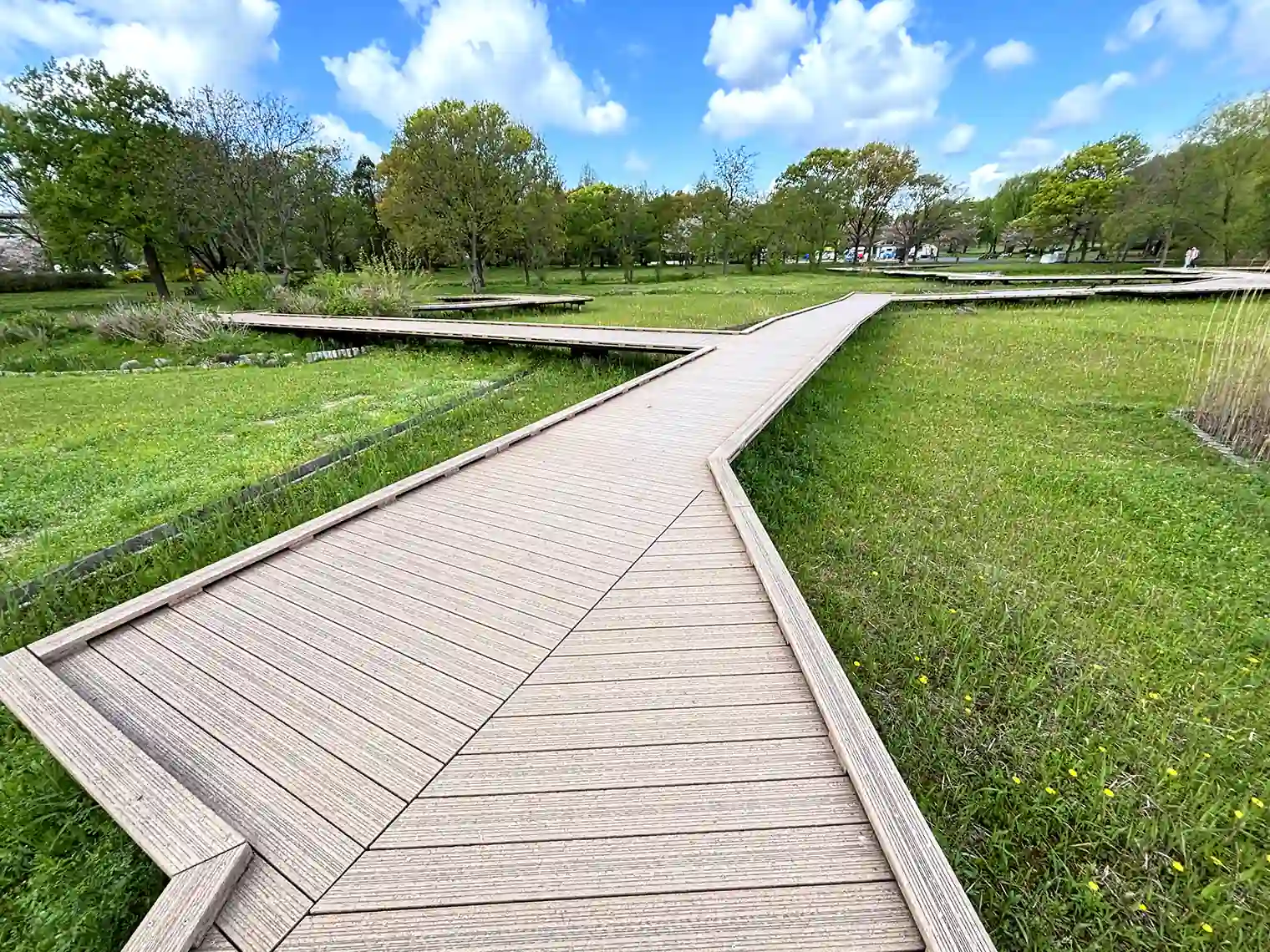 大池横の木製遊歩道（B地区）