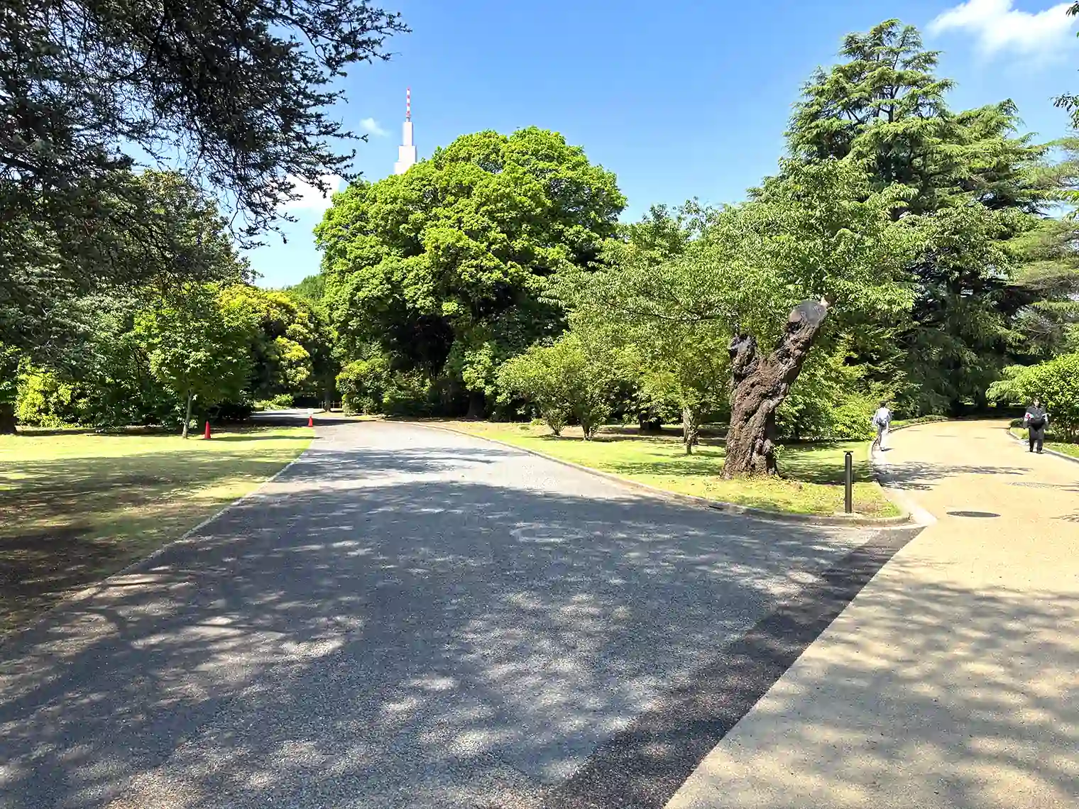 遊歩道（東エリア）