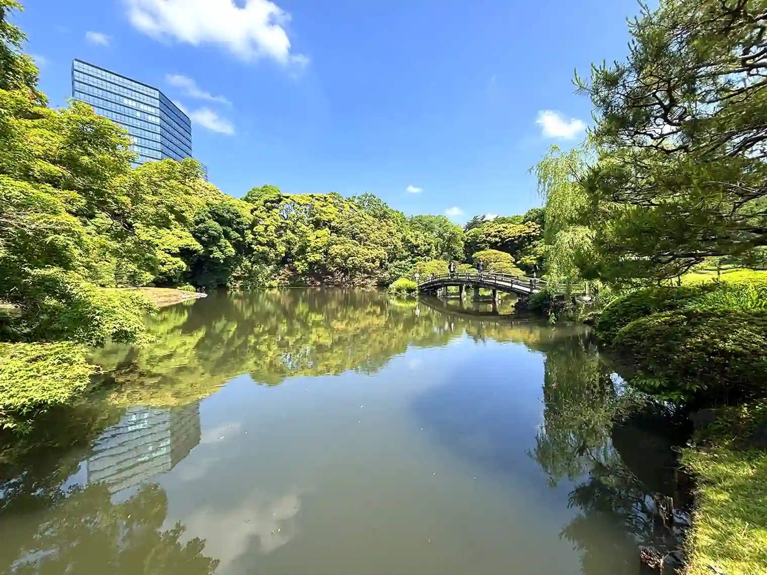 上の池（西エリア）