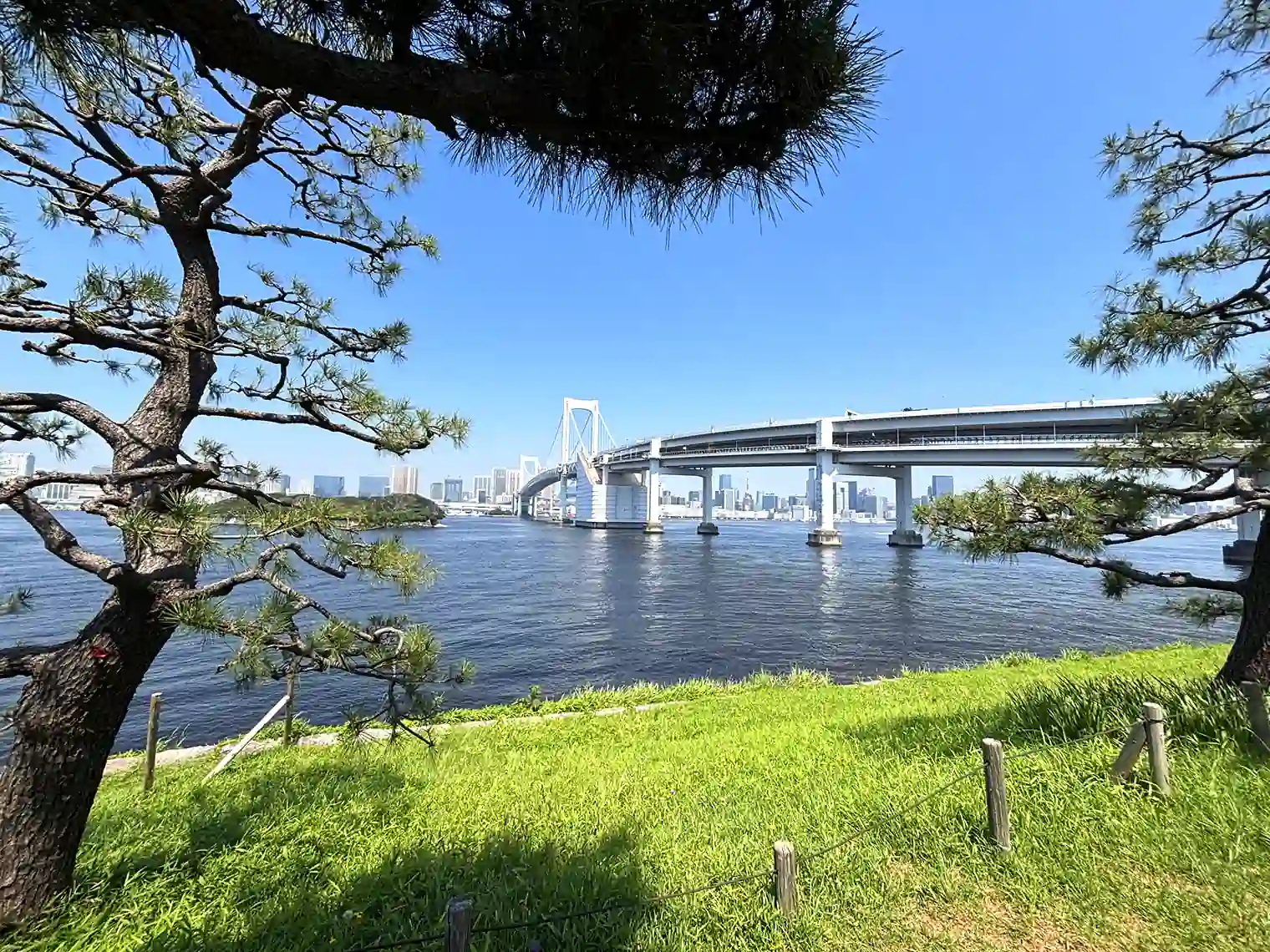 台場公園から眺めるレインボーブリッジ