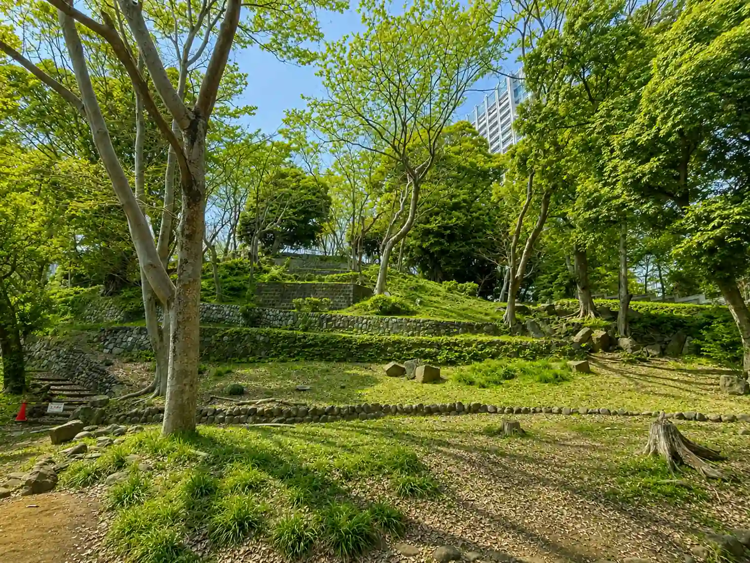 芝丸山古墳（1号地）