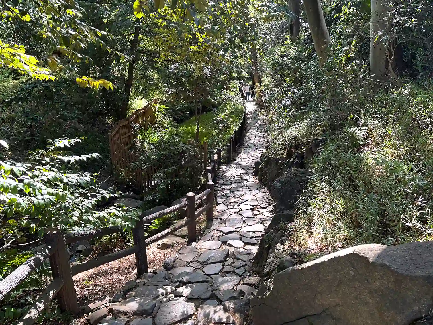 渓流沿い石畳遊歩道