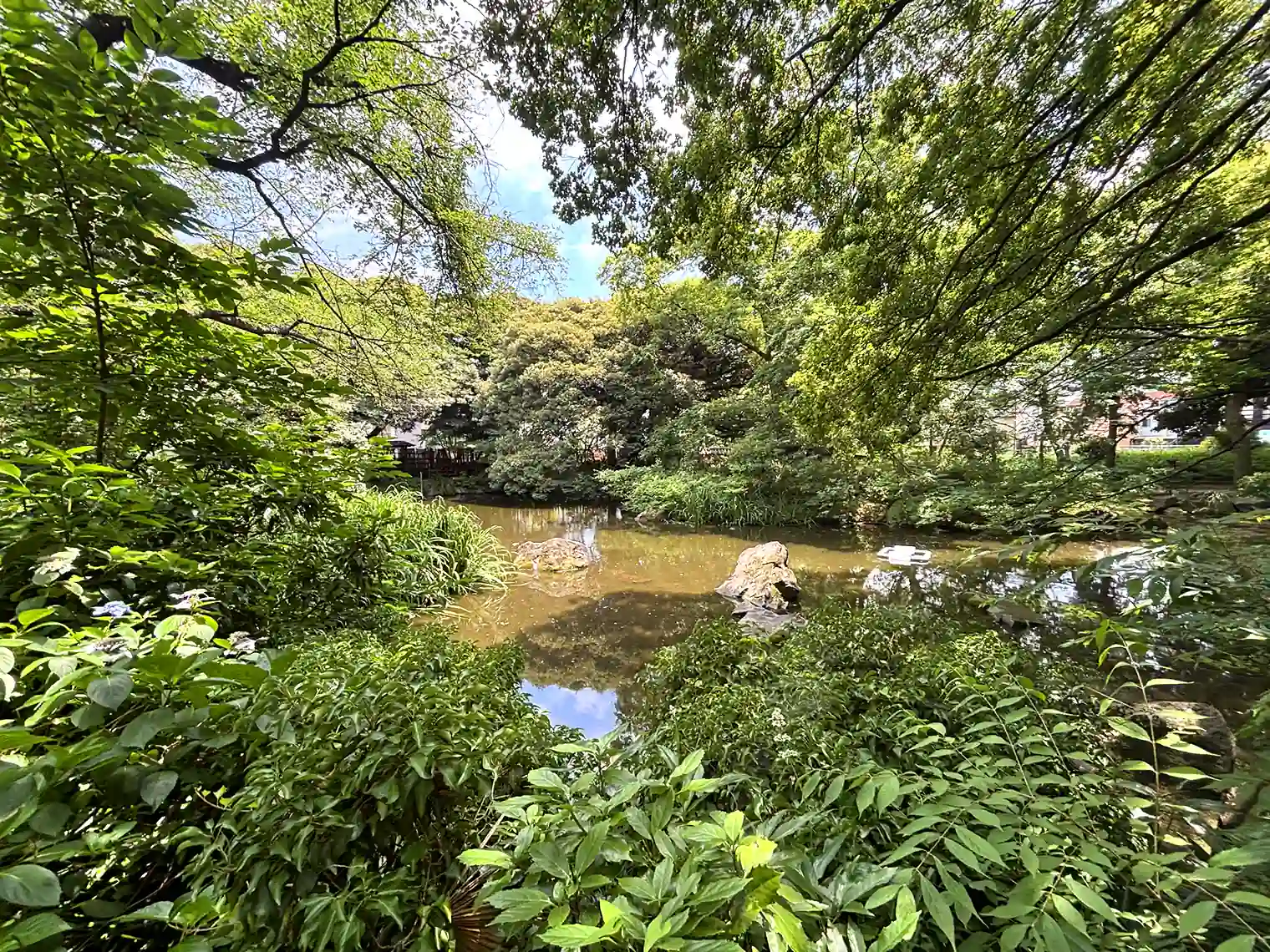 池