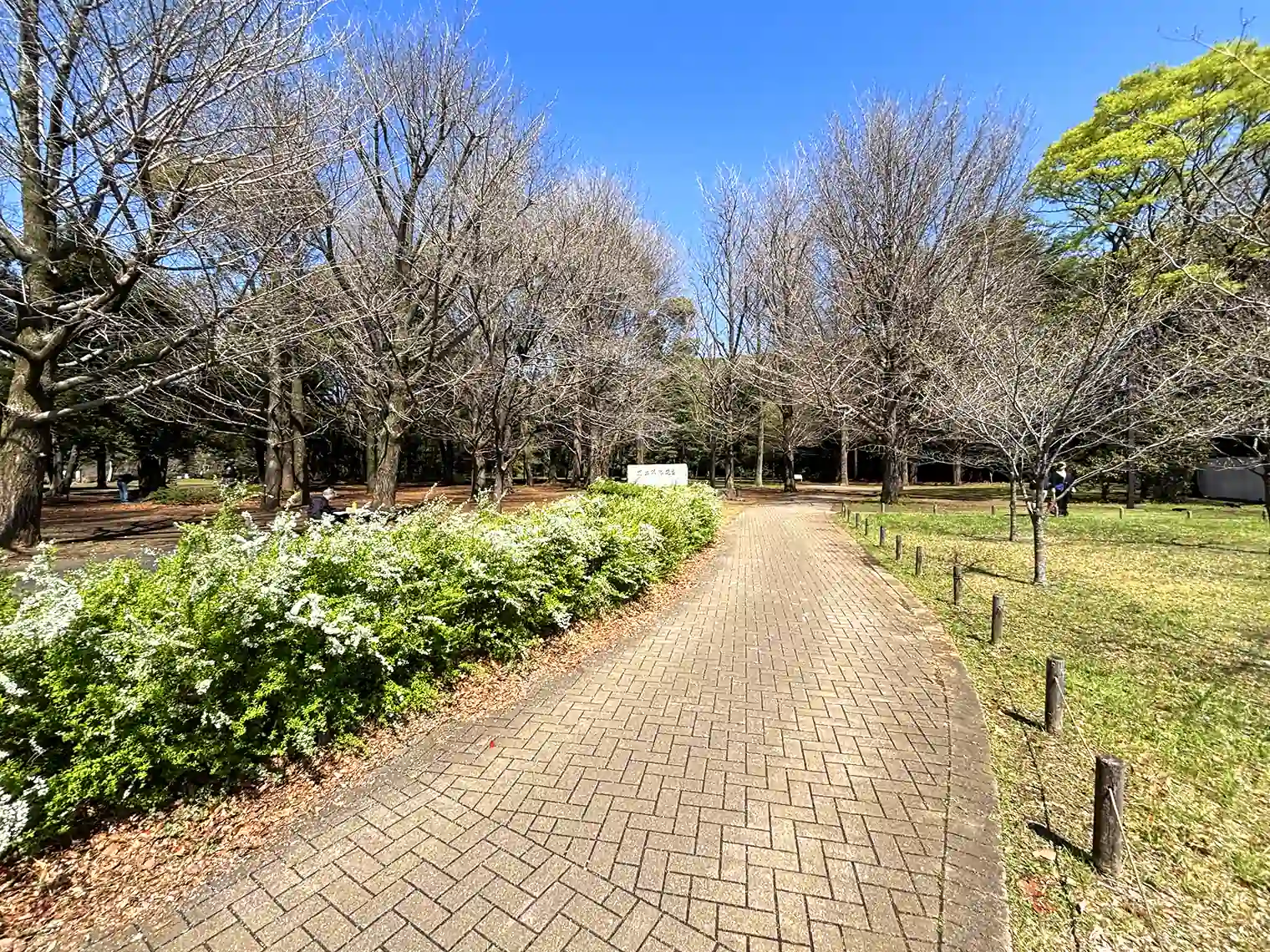 遊歩道