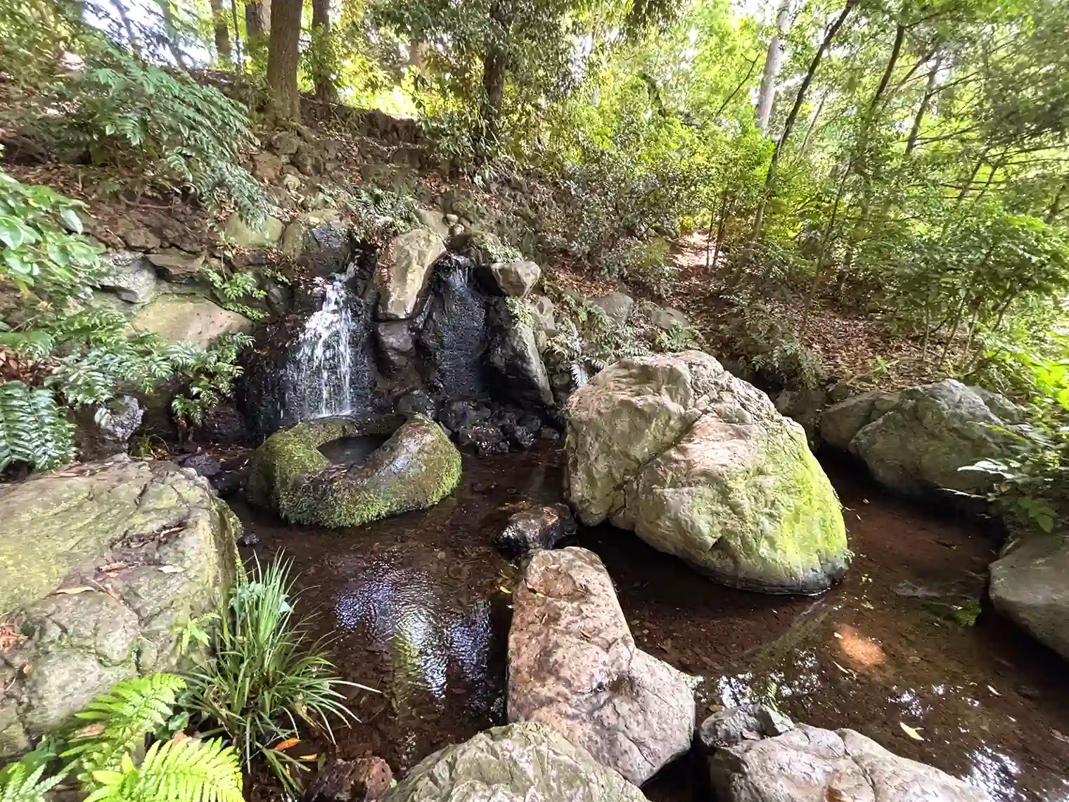 湧き出し口遅野井