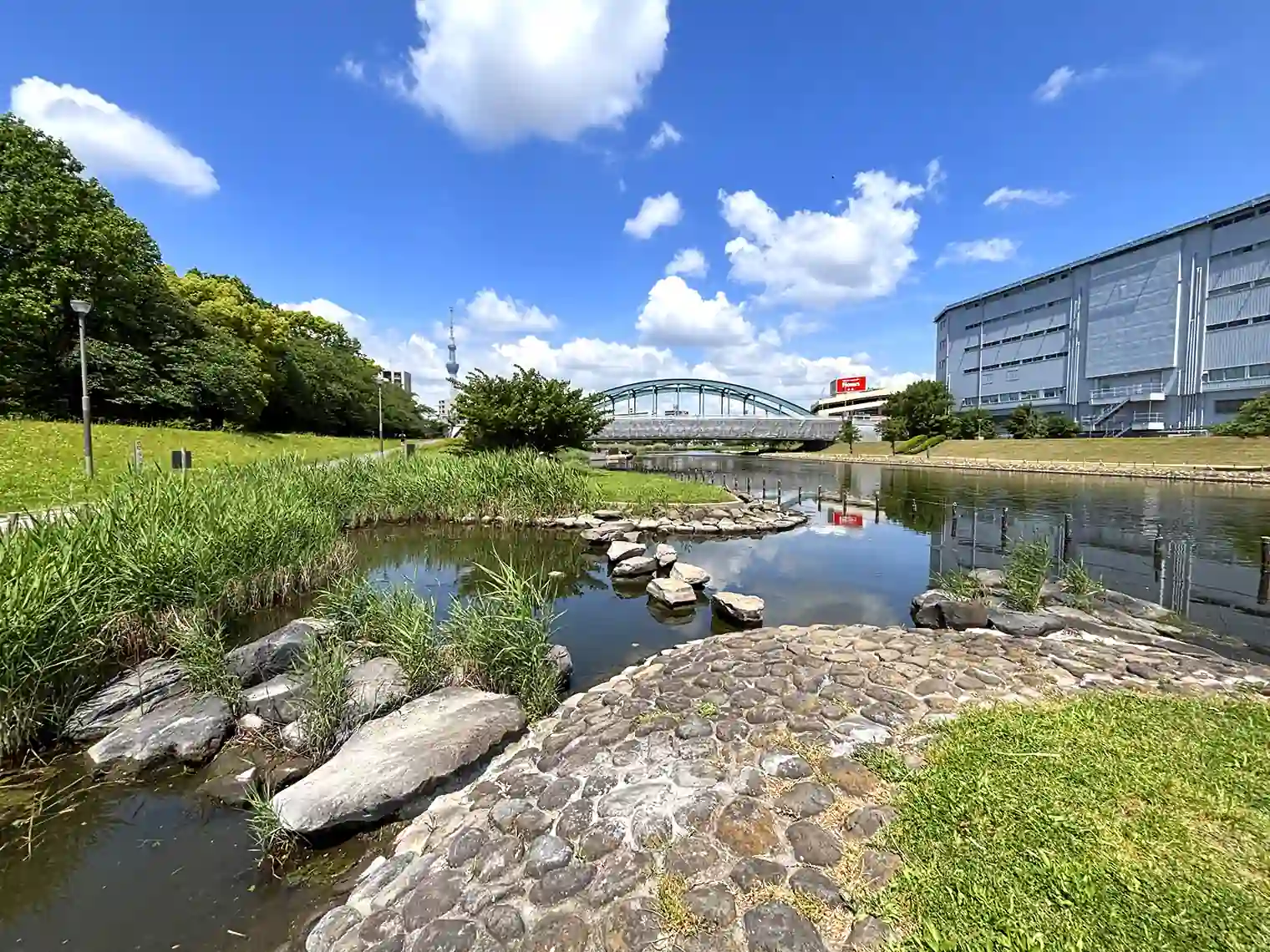 旧中川沿いの飛び石（B地区）