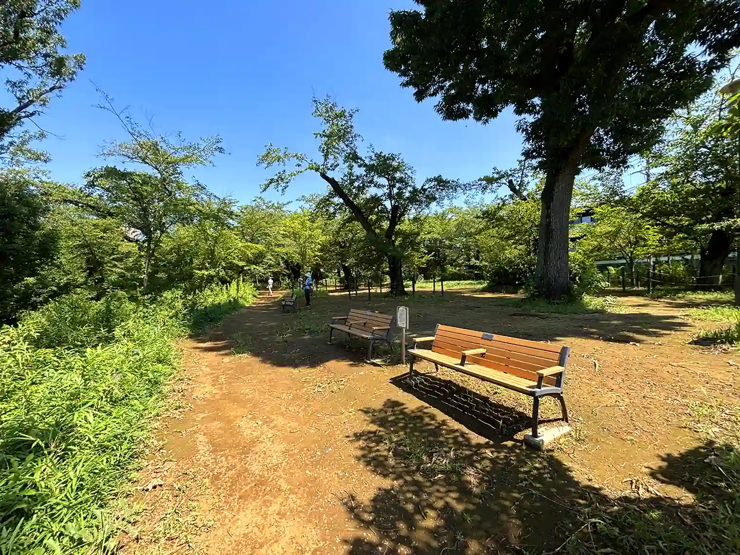 桜山の頂上