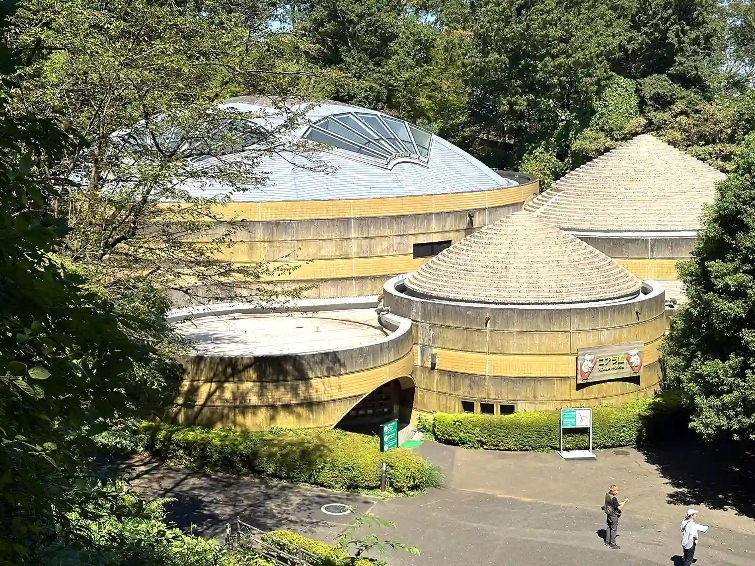コアラ館