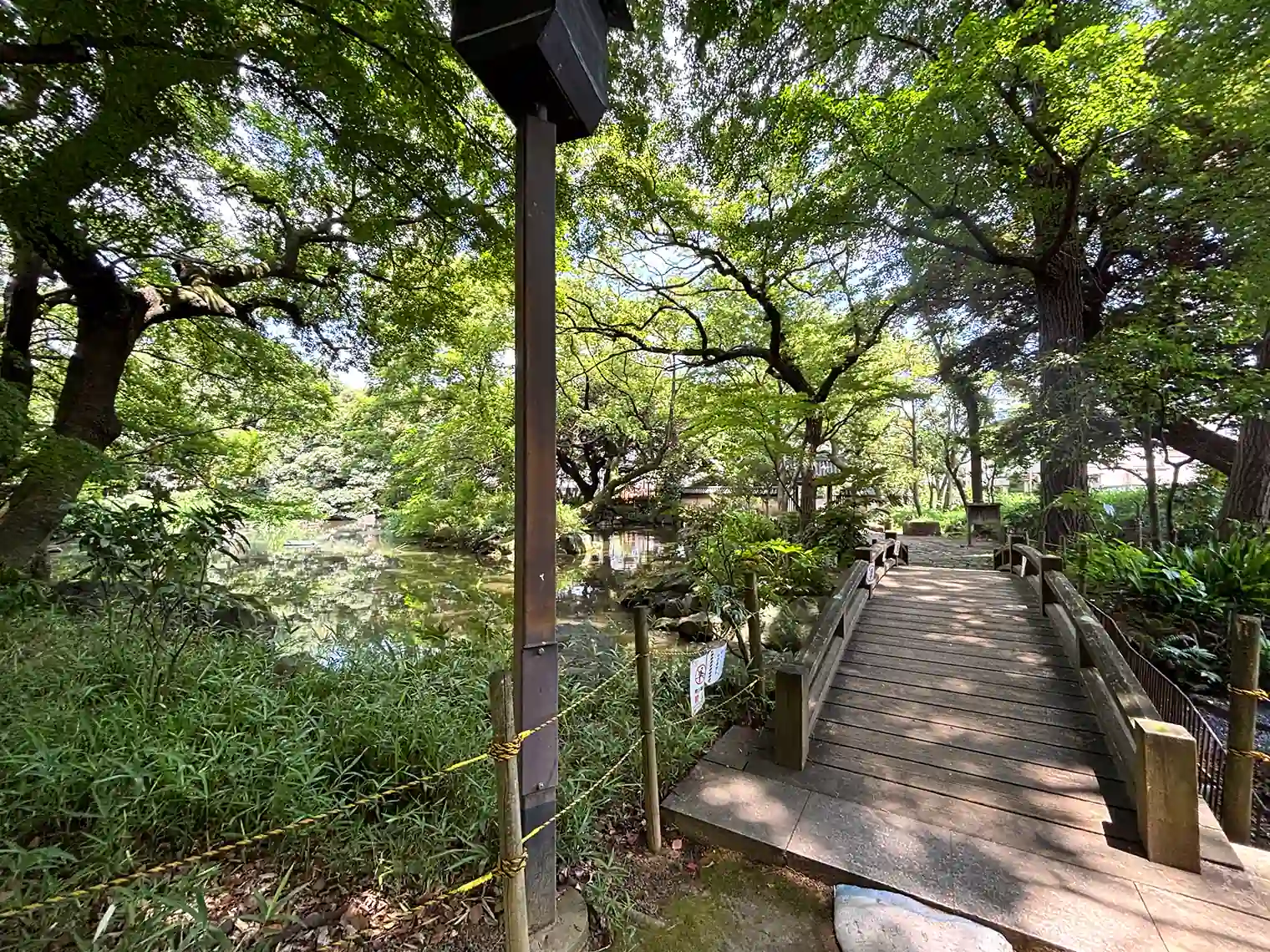 木製の橋