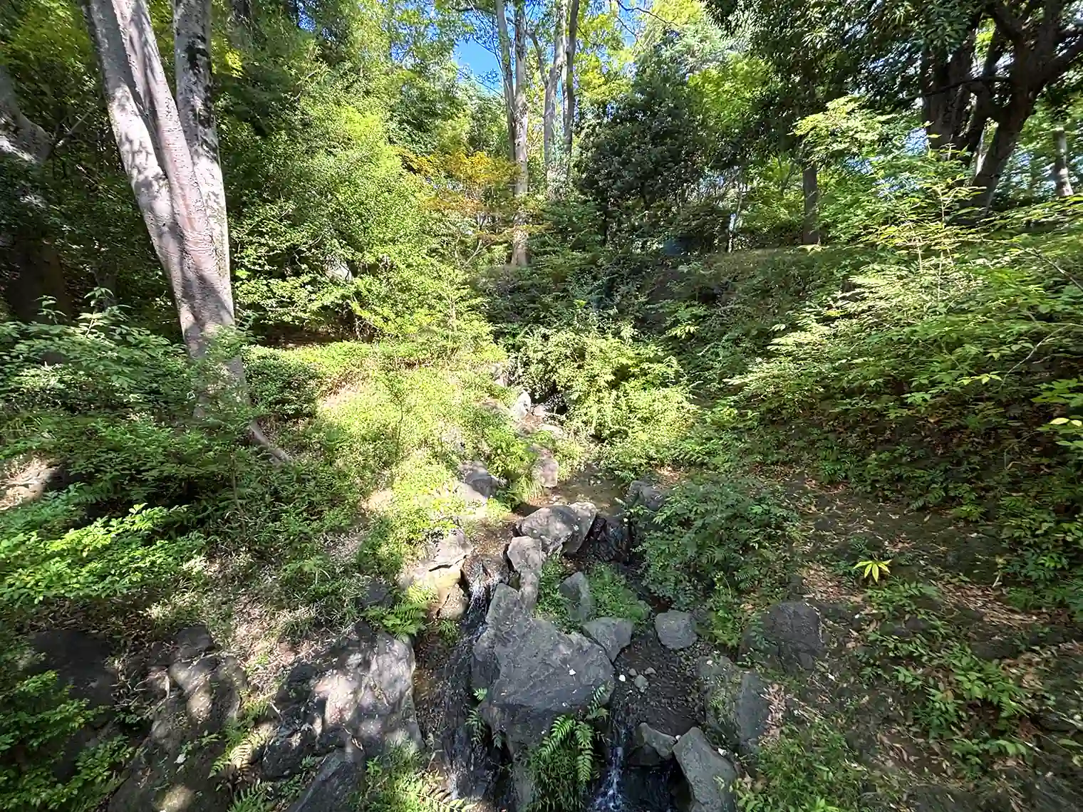 渓流