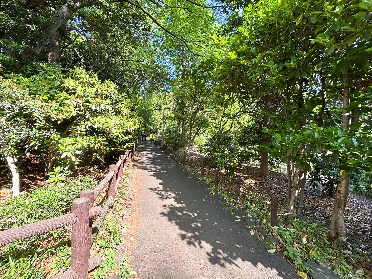 遊歩道