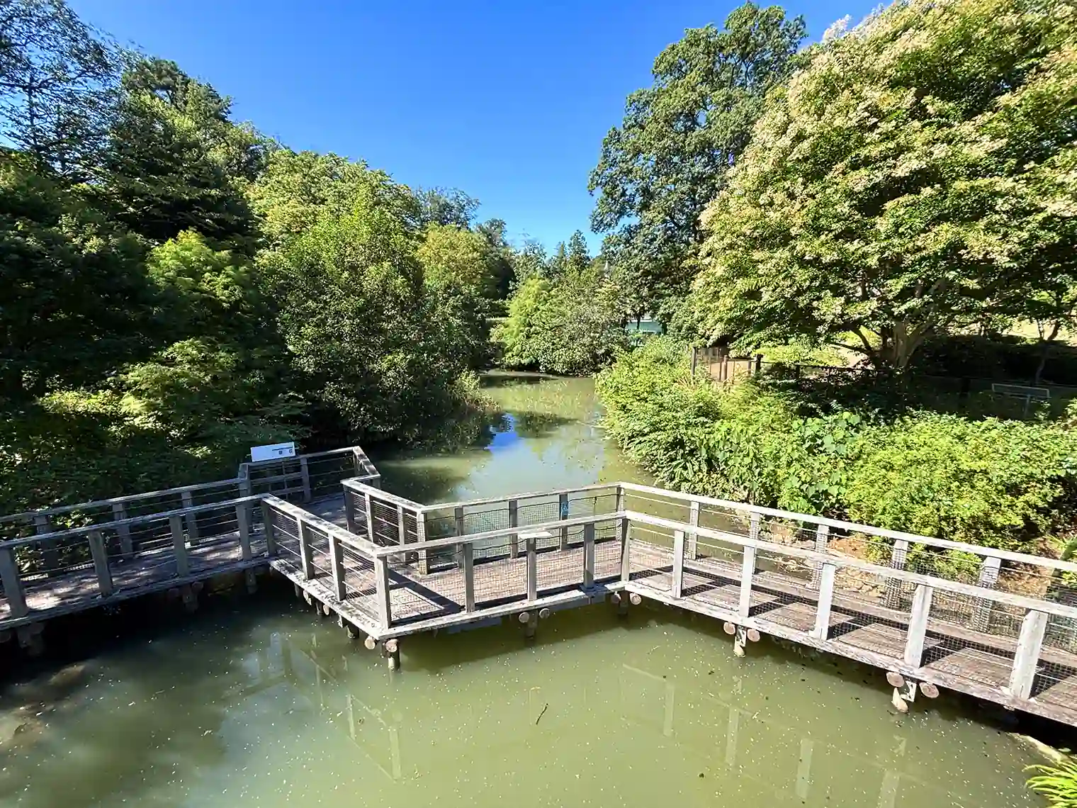 水鳥橋から見る木道