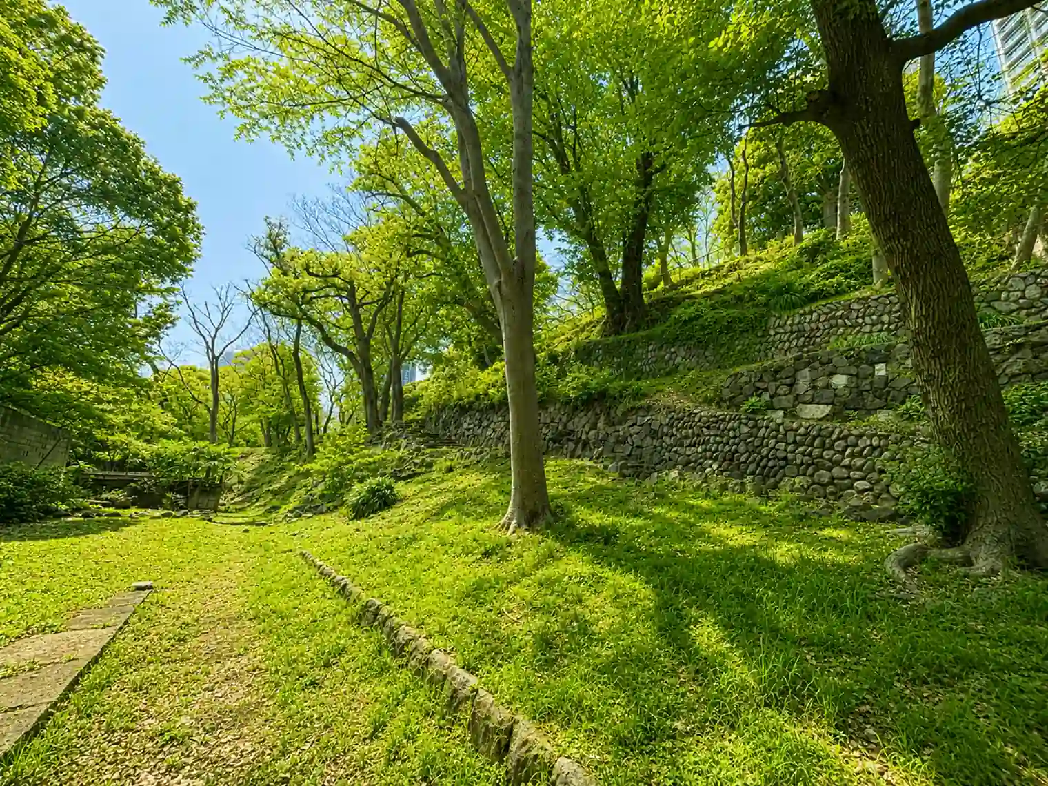 芝丸山古墳（1号地）