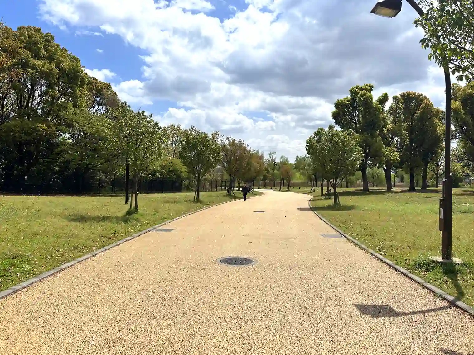遊歩道（C地区）