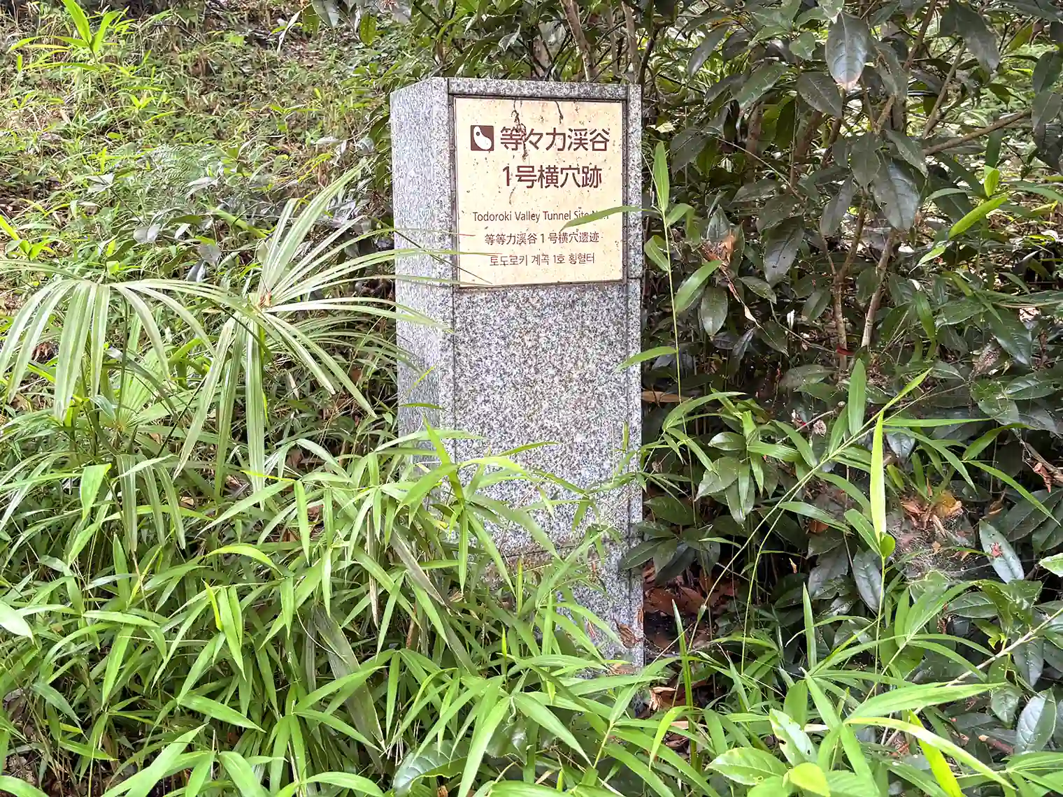 等々力渓谷1号横穴