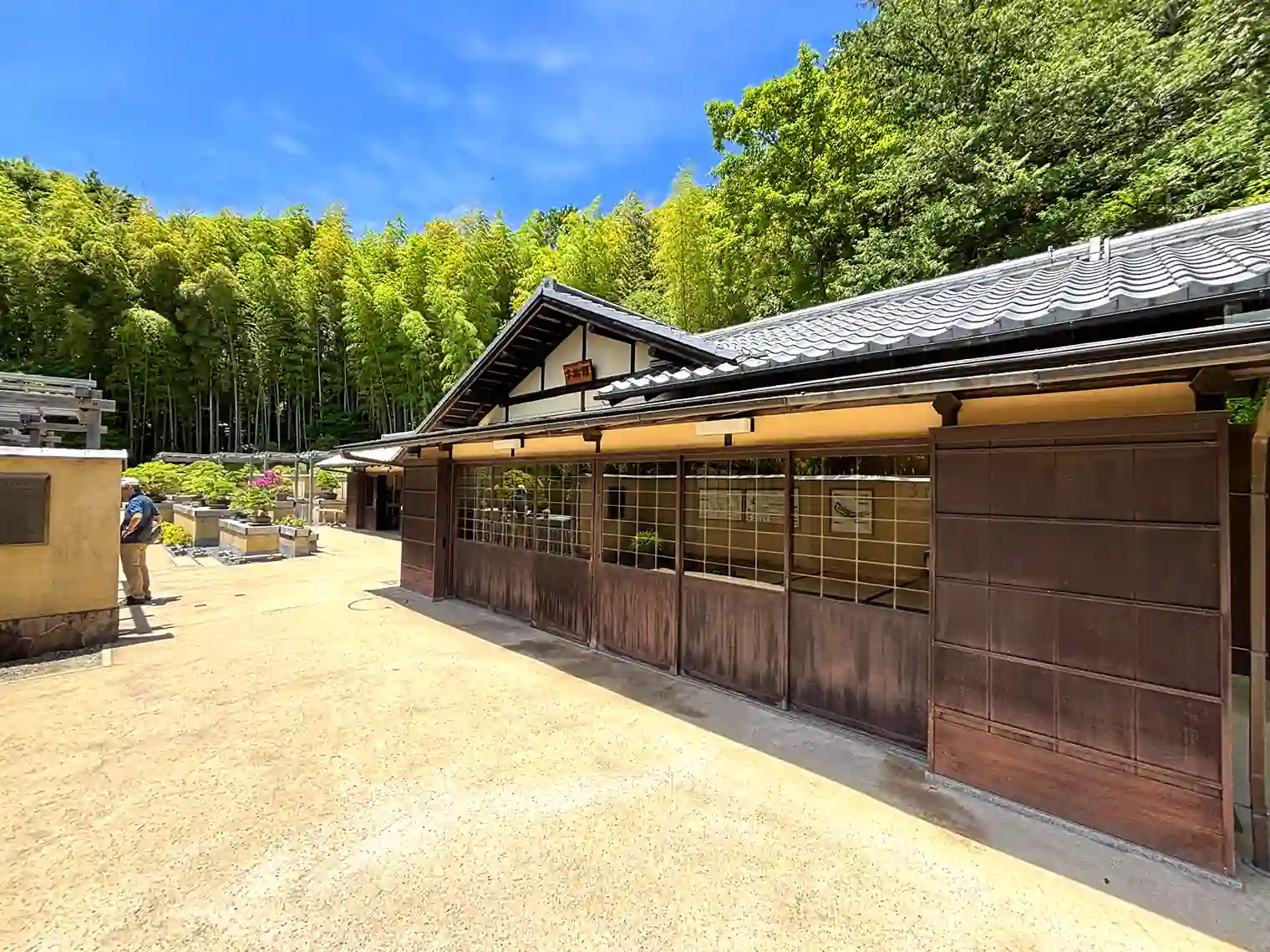 盆栽園