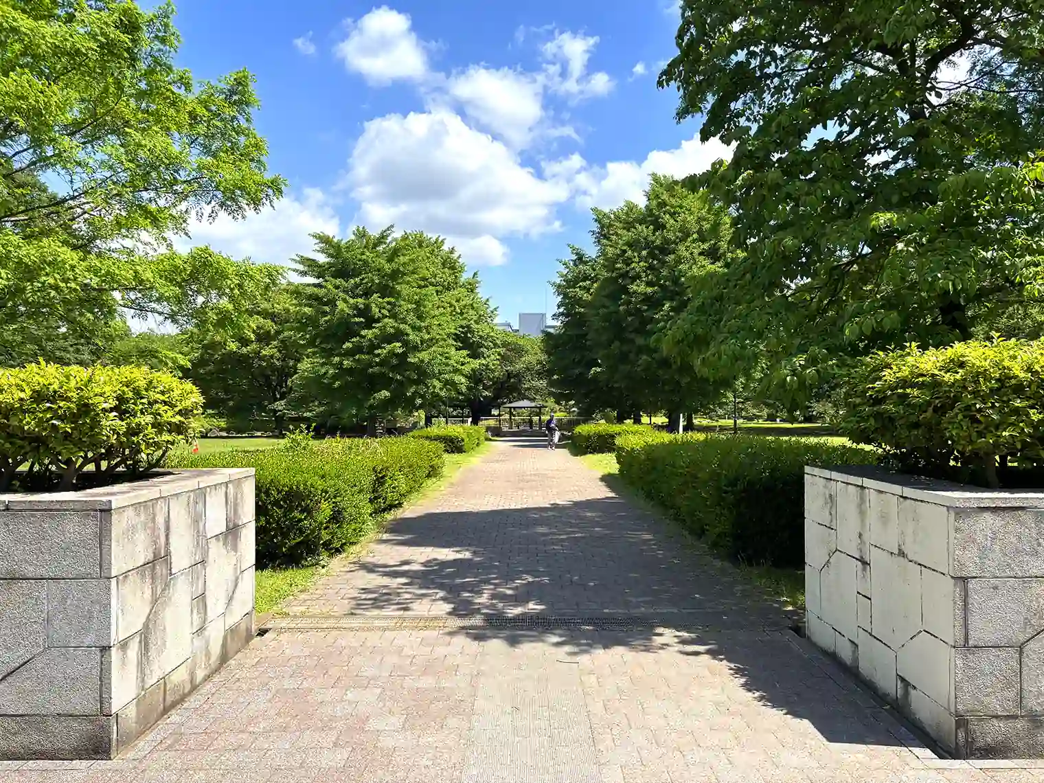 中央休憩広場から池方面へ伸びる遊歩道（B地区）
