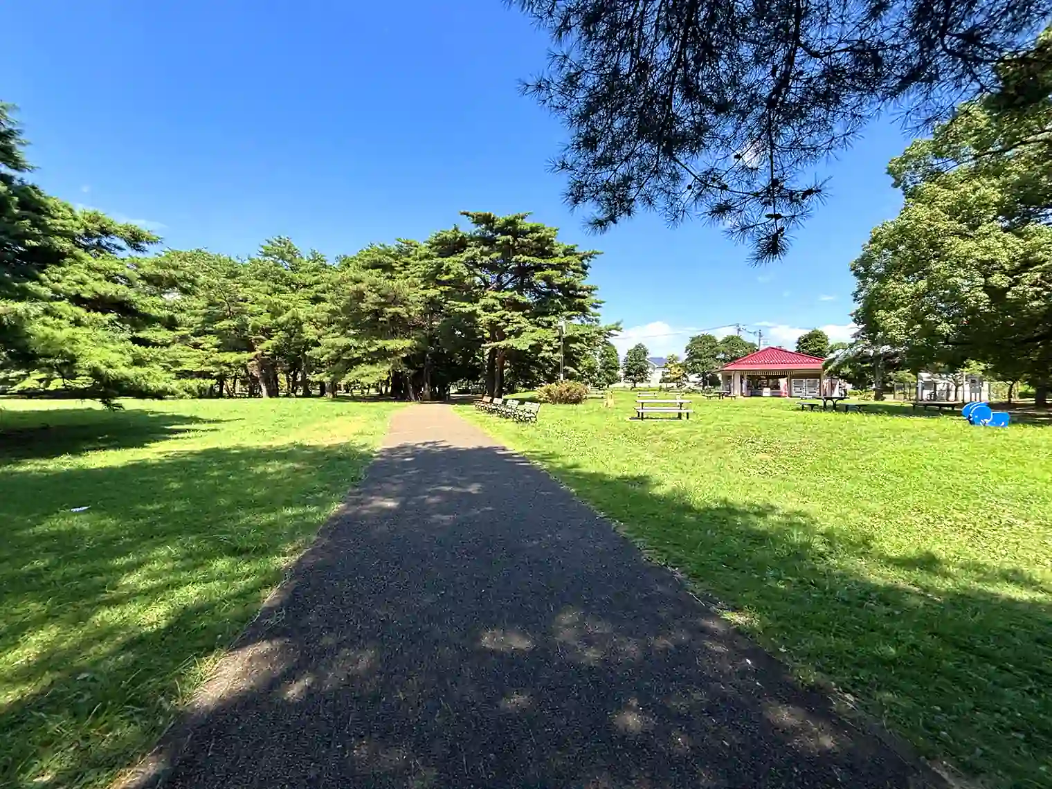 公園内遊歩道