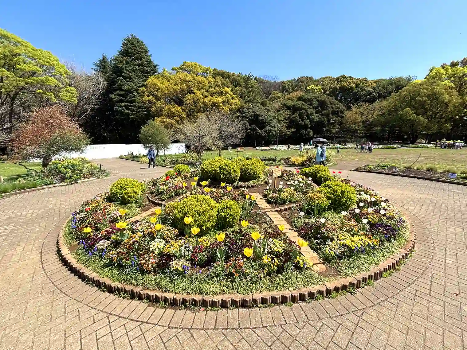 花壇（オリーブ広場）