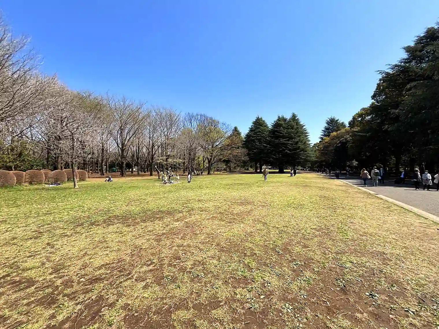 芝生広場
