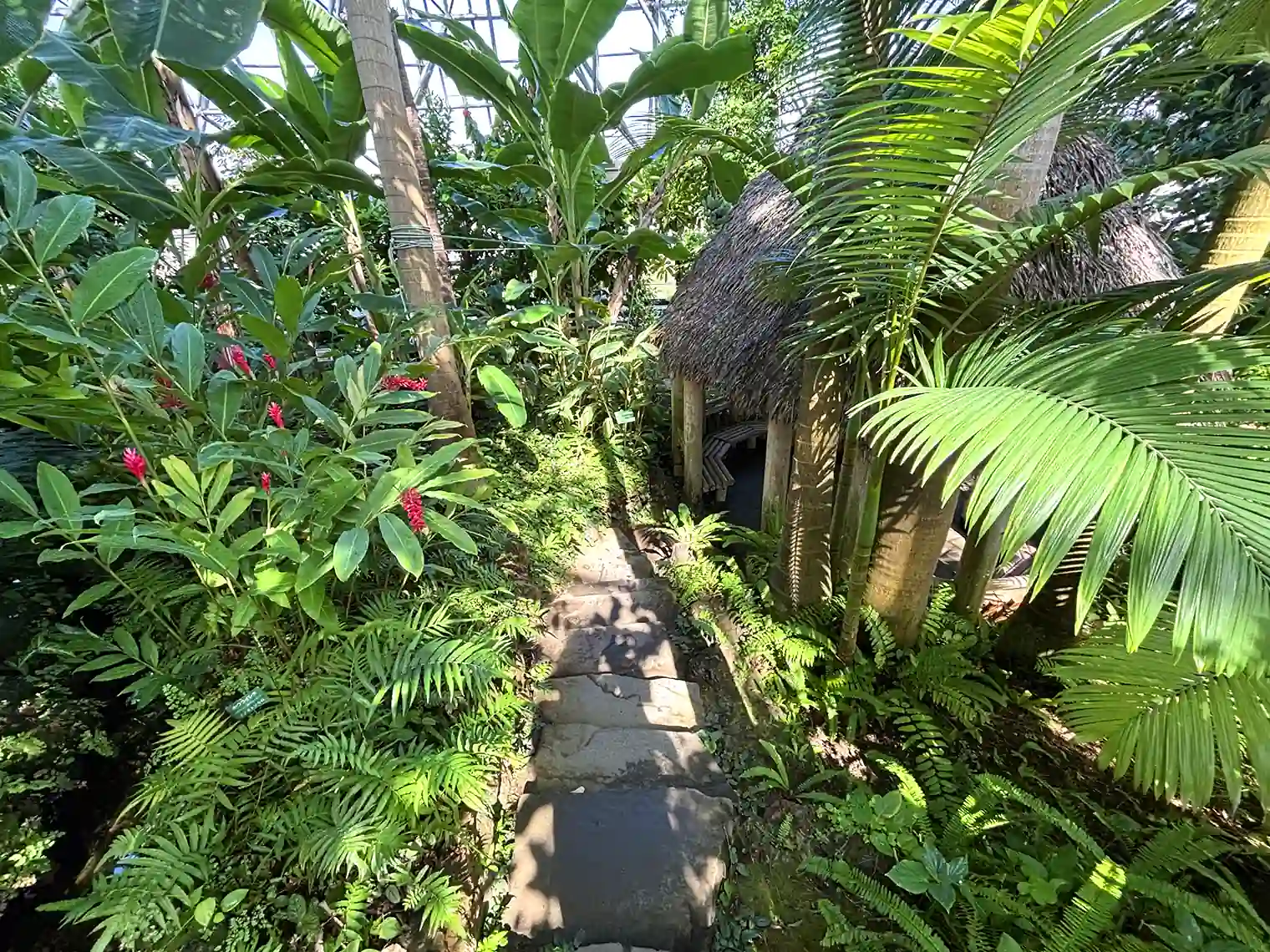 夢の島熱帯植物館内