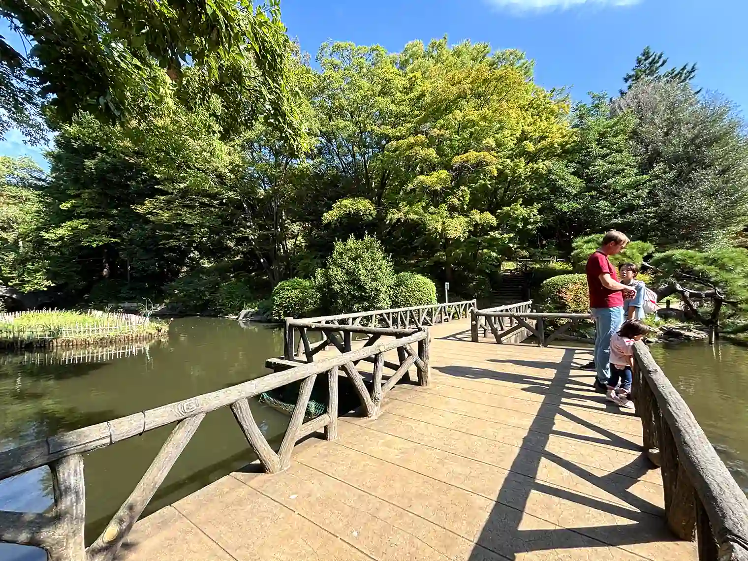 渓流と池の間にかかる橋