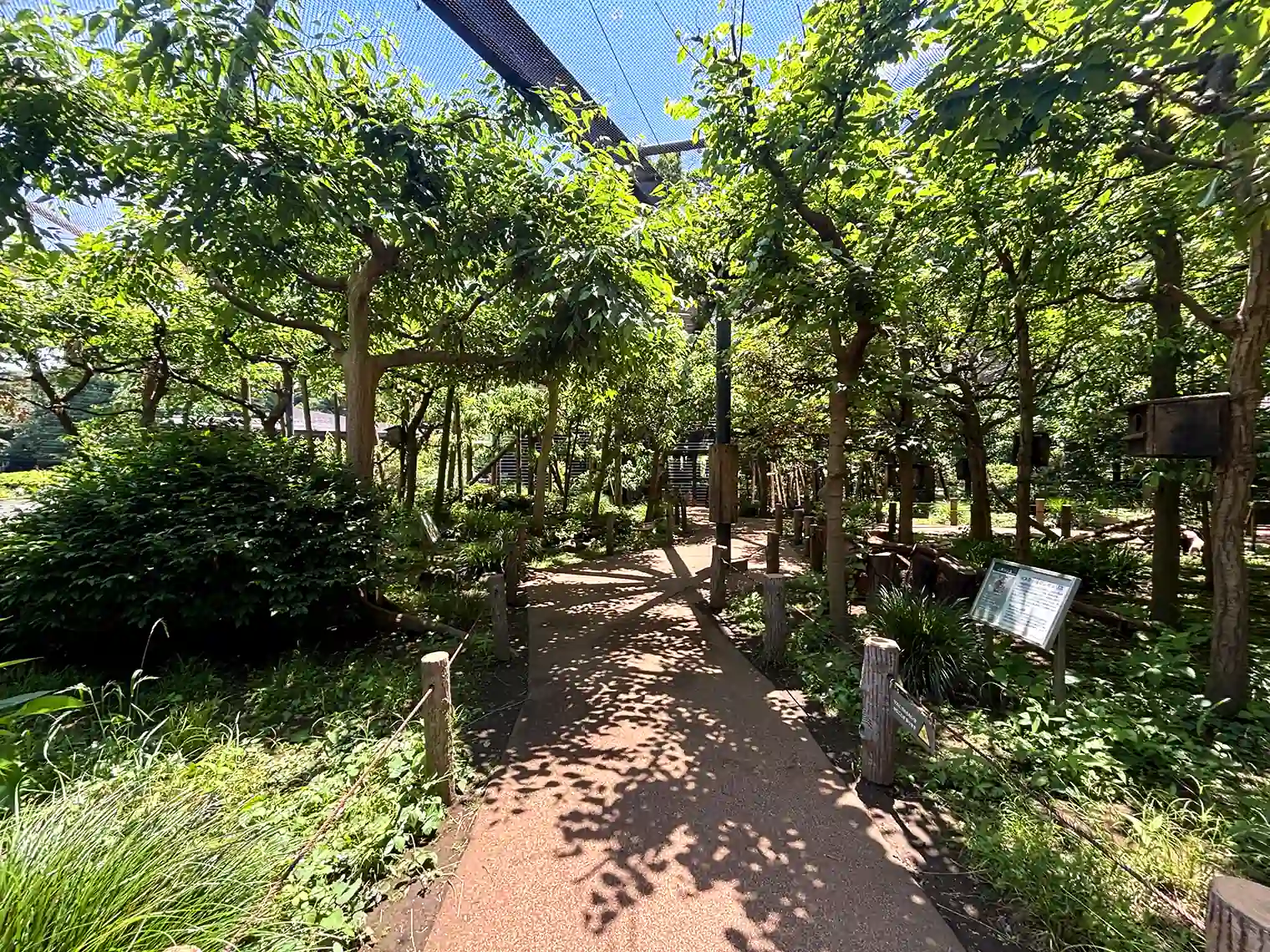 動物園（本園）のリスの小径