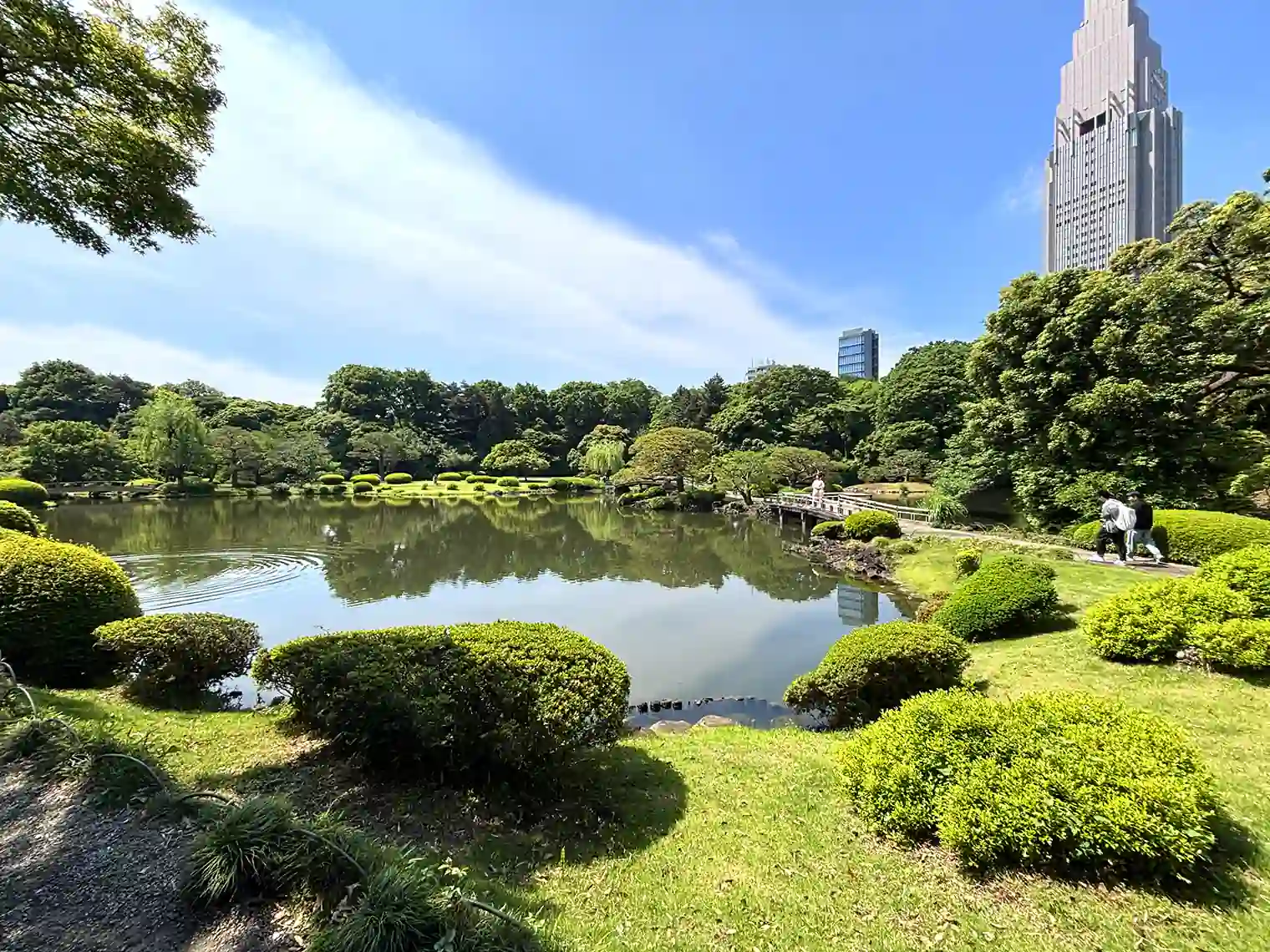 上の池（西エリア）