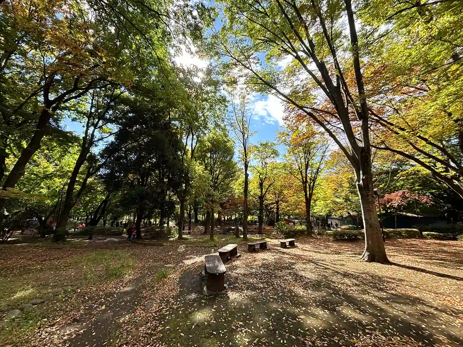 おべんと広場