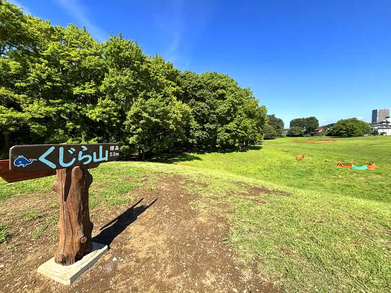 くじら山頂（標高53m）