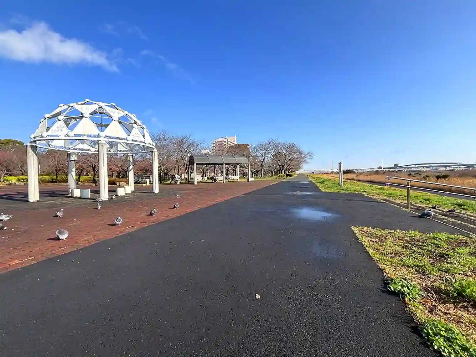 荒川横の遊歩道（自由の広場エリア）